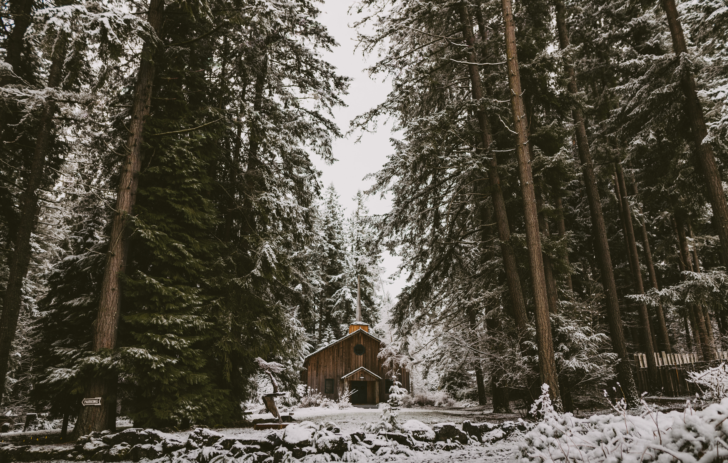 © Isaiah + Taylor Photography - Portland, Oregon Winter Forest Cabin Engagement-2.jpg