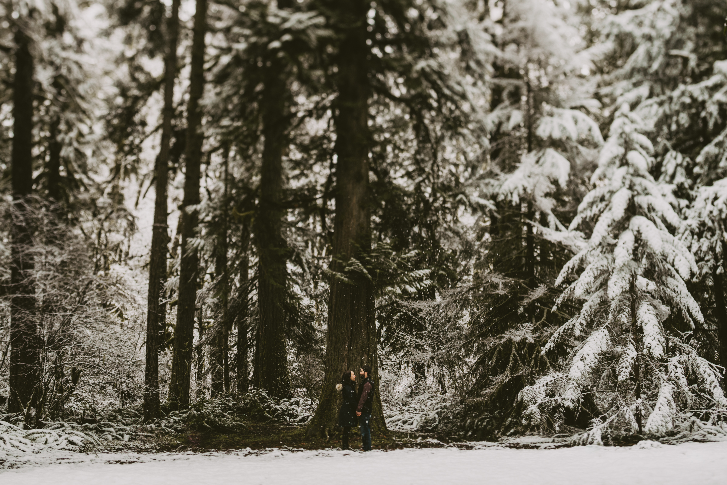 © Isaiah + Taylor Photography - Portland, Oregon Winter Forest Cabin Engagement-14.jpg