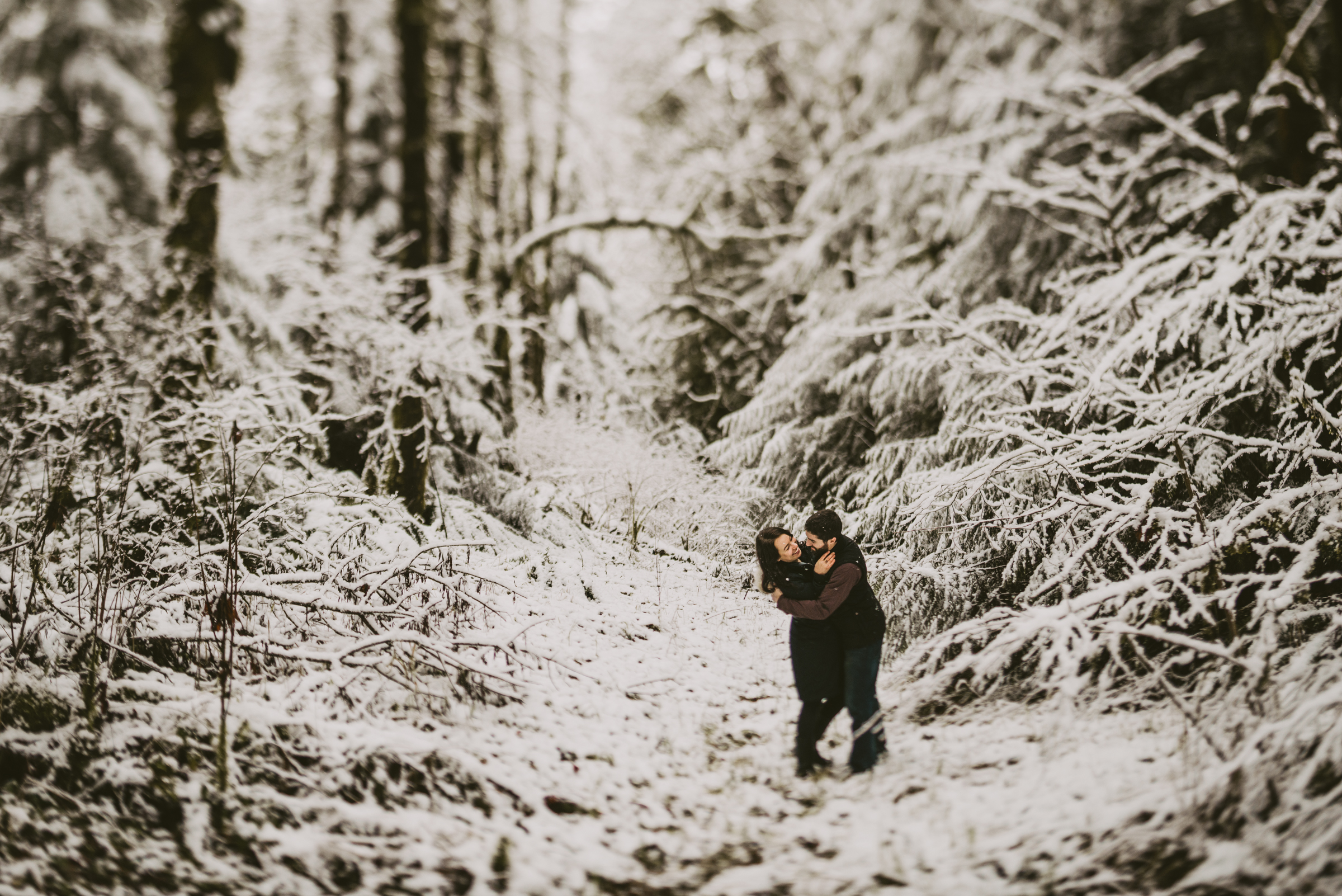© Isaiah + Taylor Photography - Portland, Oregon Winter Forest Cabin Engagement-21.jpg