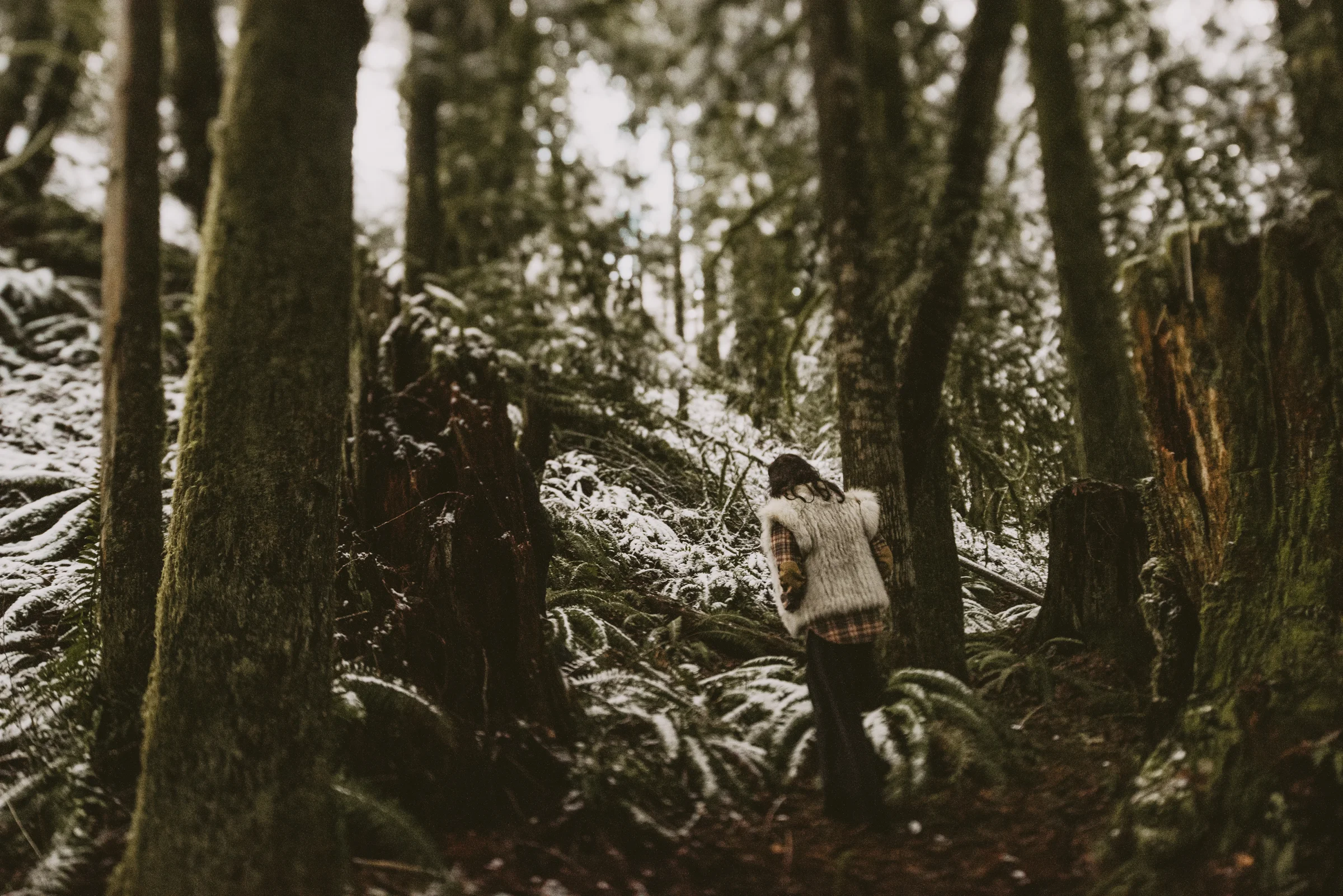 © Isaiah + Taylor Photography - Portland, Oregon Winter Forest Cabin Engagement-47.jpg