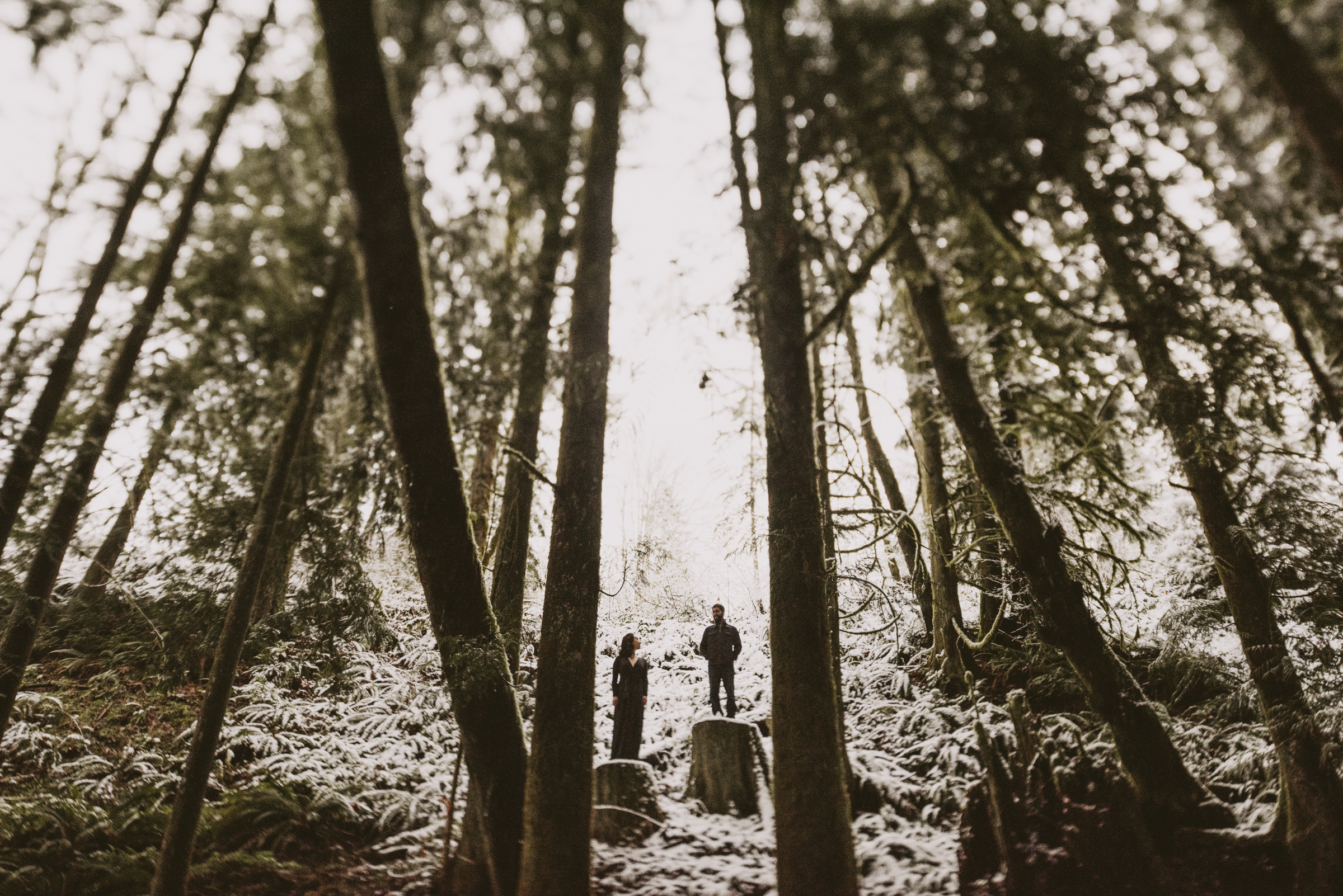 © Isaiah + Taylor Photography - Portland, Oregon Winter Forest Cabin Engagement-48.jpg