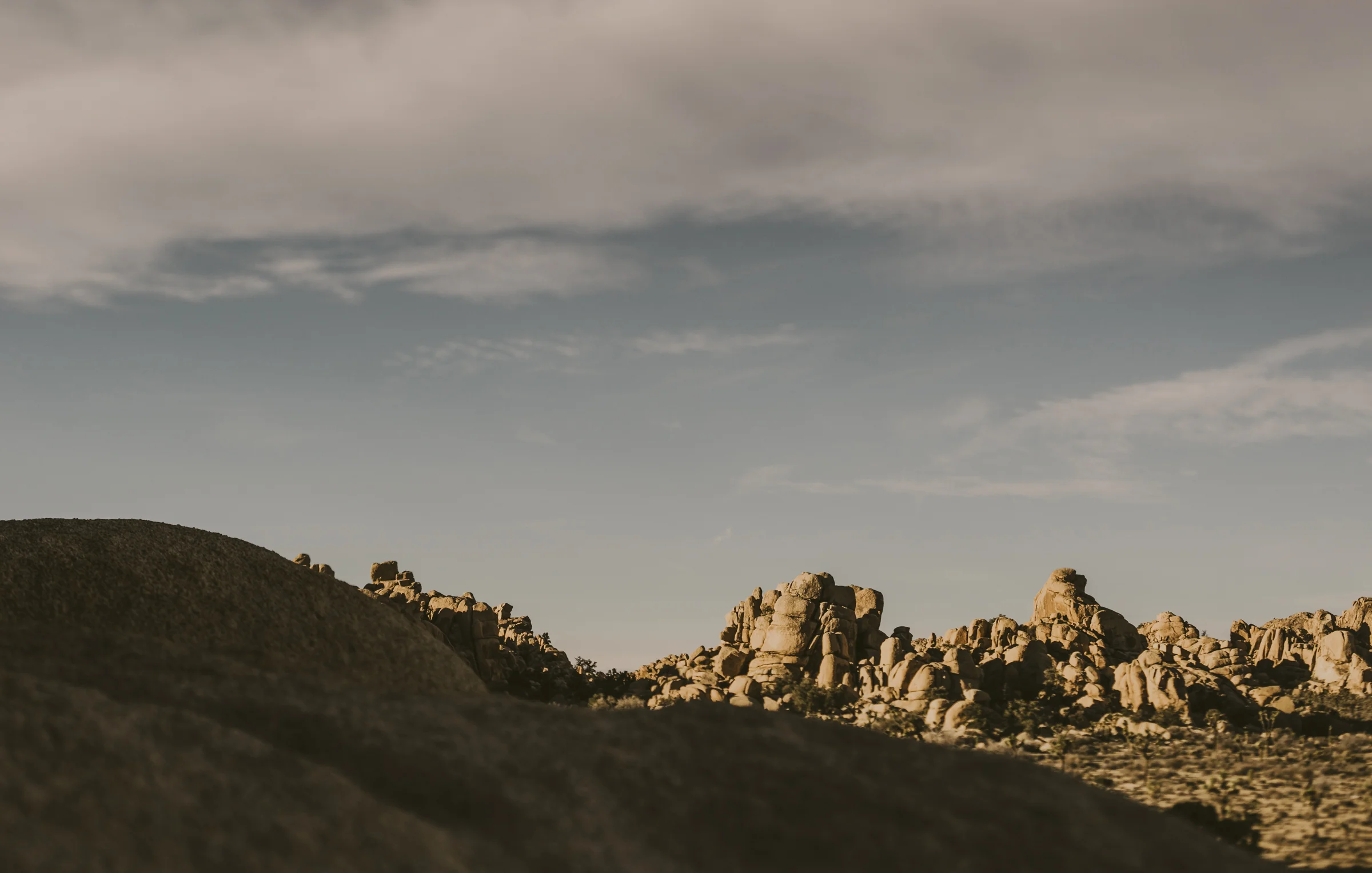 ©Isaiah + Taylor Photography - Joshua Tree Wedding Photographer-1.jpg