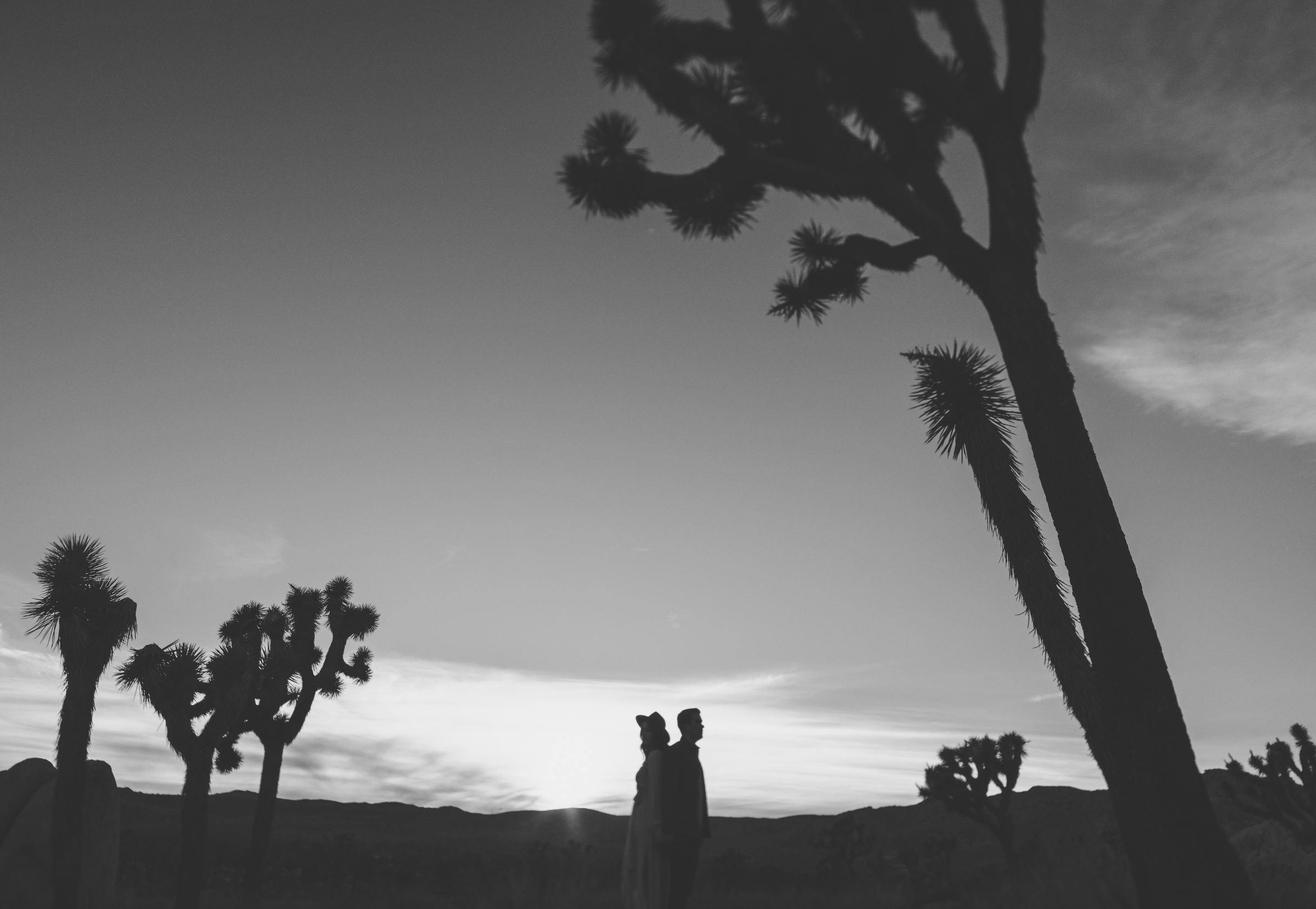 ©Isaiah + Taylor Photography - Joshua Tree Wedding Photographer-99.jpg
