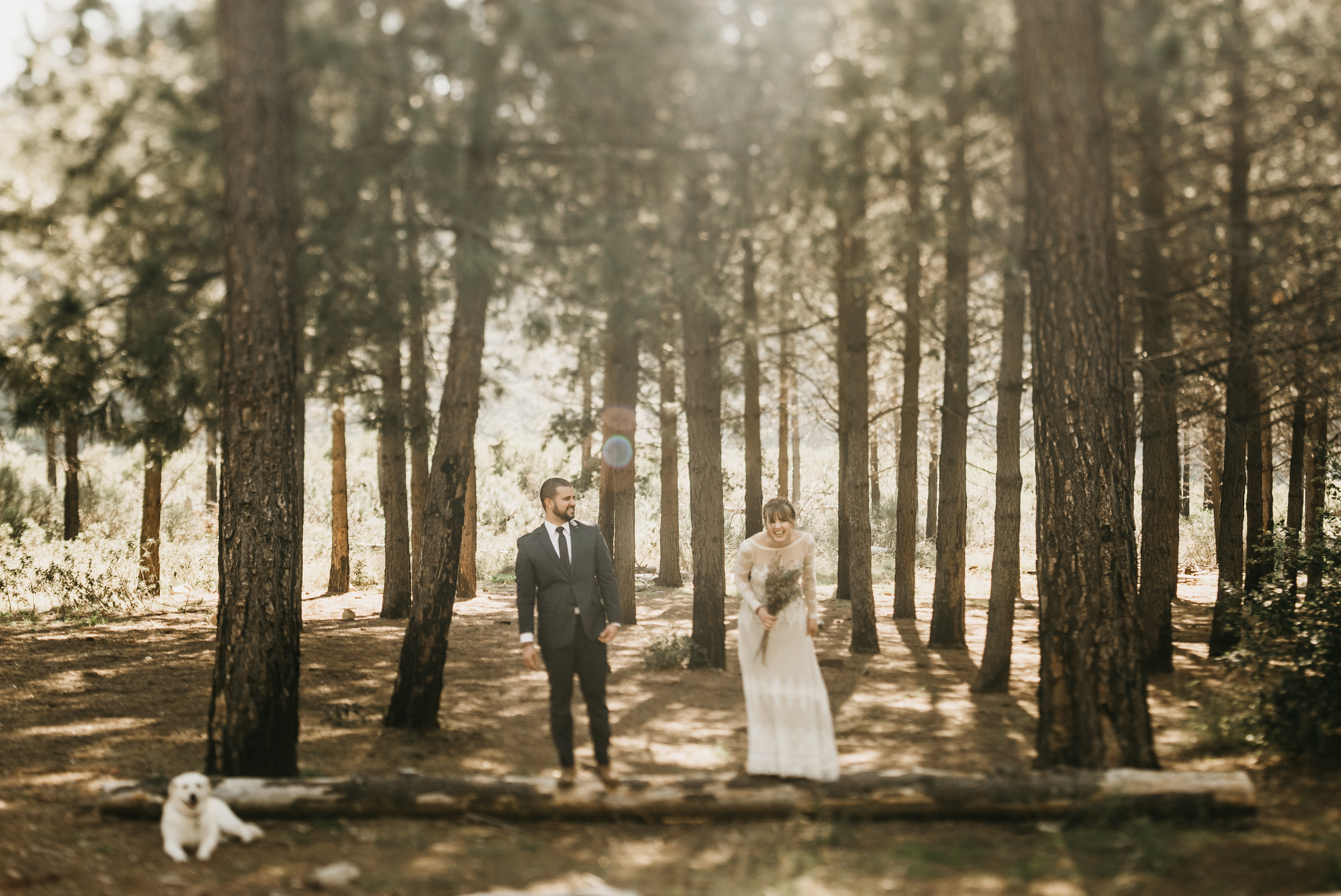 ©Isaiah + Taylor Photography - Los Angeles Wedding Photographers - Los Angeles Forest Wedding -9.jpg