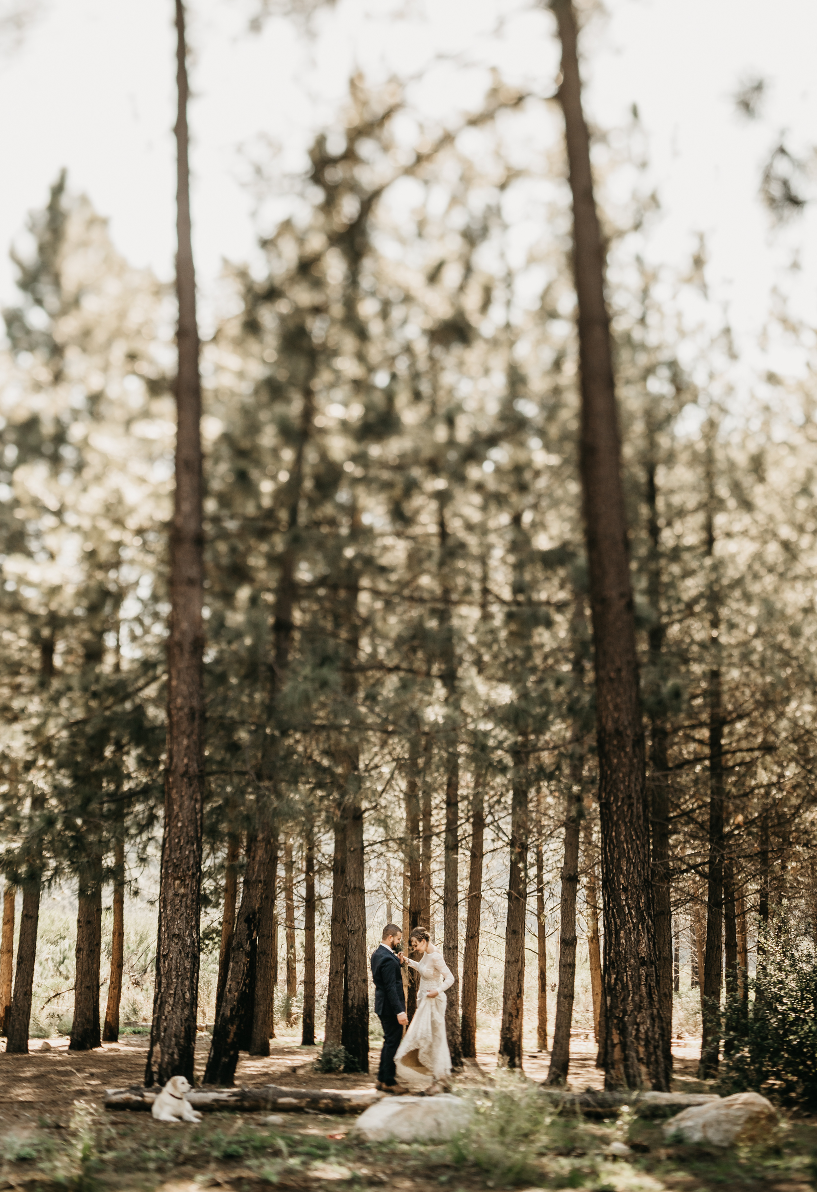 ©Isaiah + Taylor Photography - Los Angeles Wedding Photographers - Los Angeles Forest Wedding -10.jpg