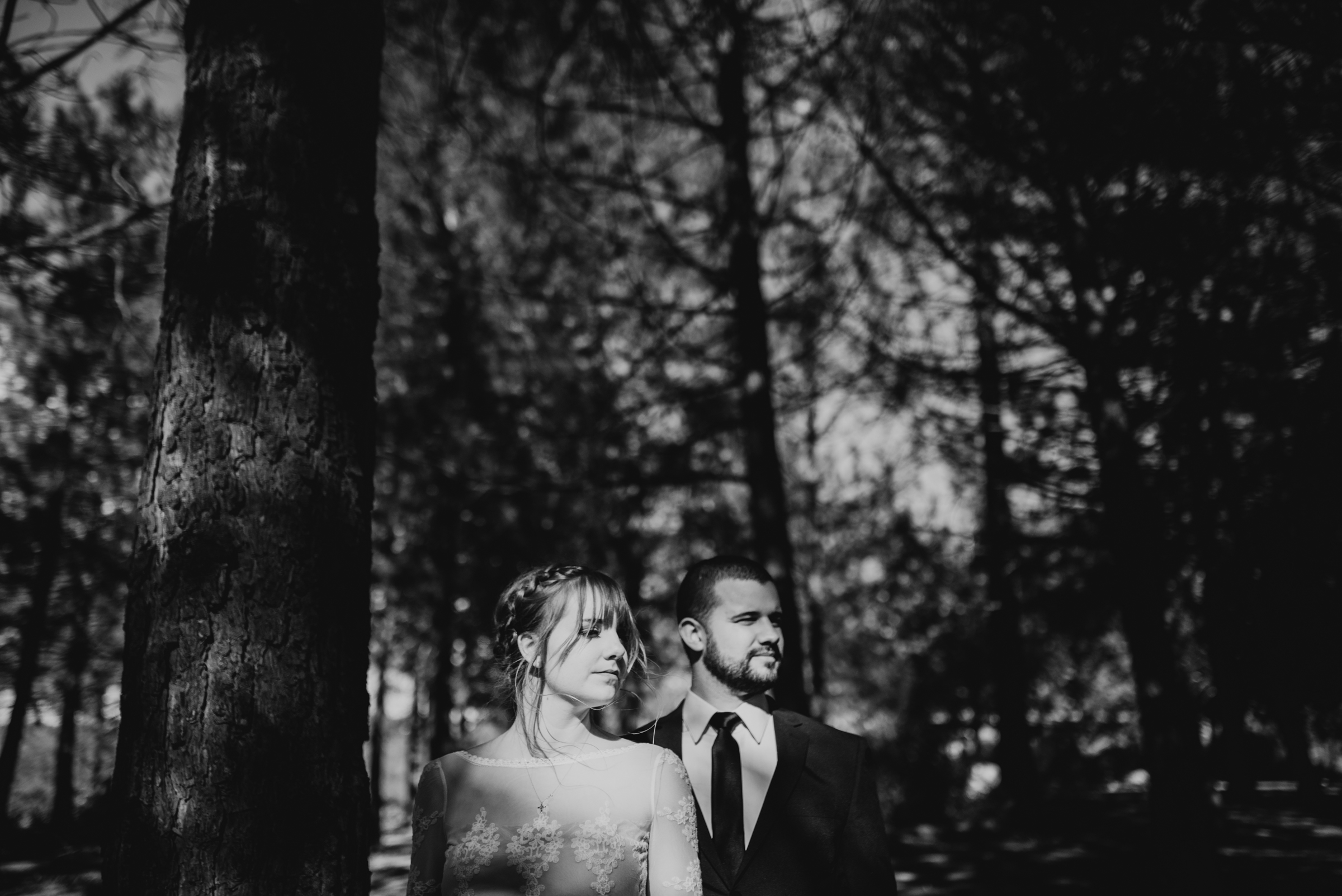 ©Isaiah + Taylor Photography - Los Angeles Wedding Photographers - Los Angeles Forest Wedding -21.jpg