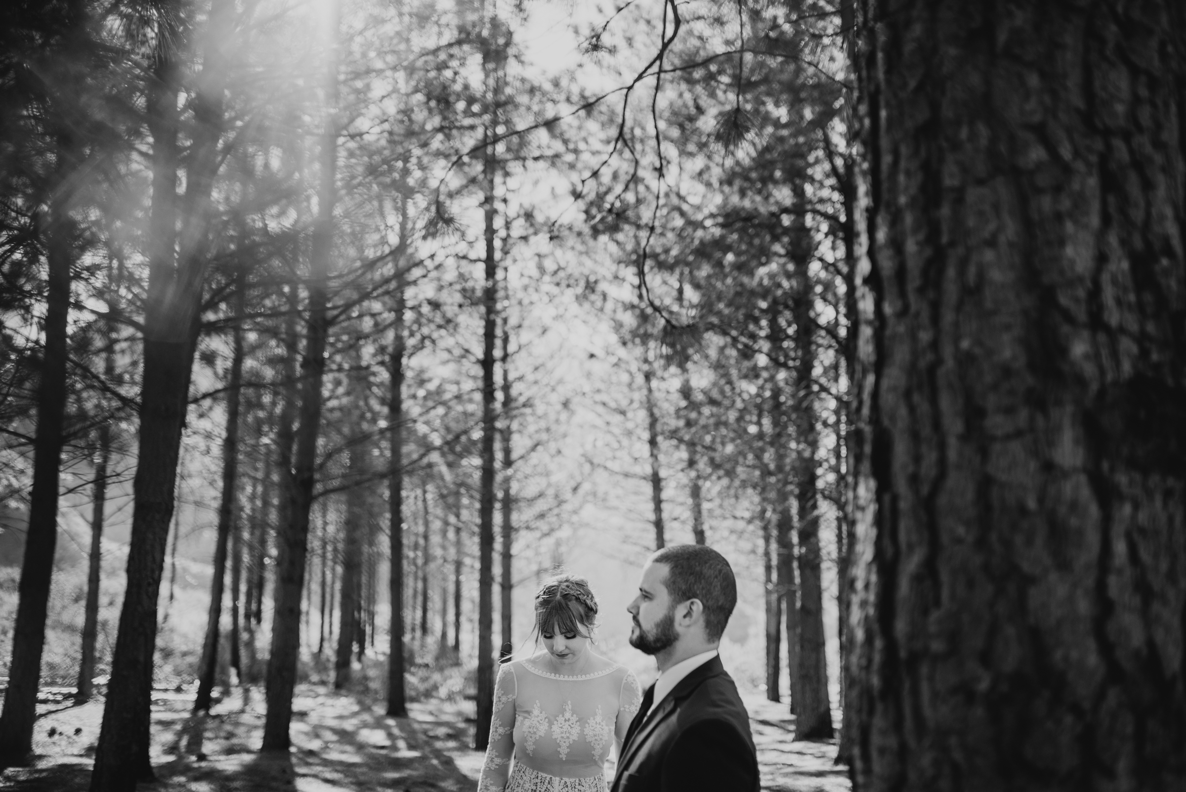 ©Isaiah + Taylor Photography - Los Angeles Wedding Photographers - Los Angeles Forest Wedding -24.jpg