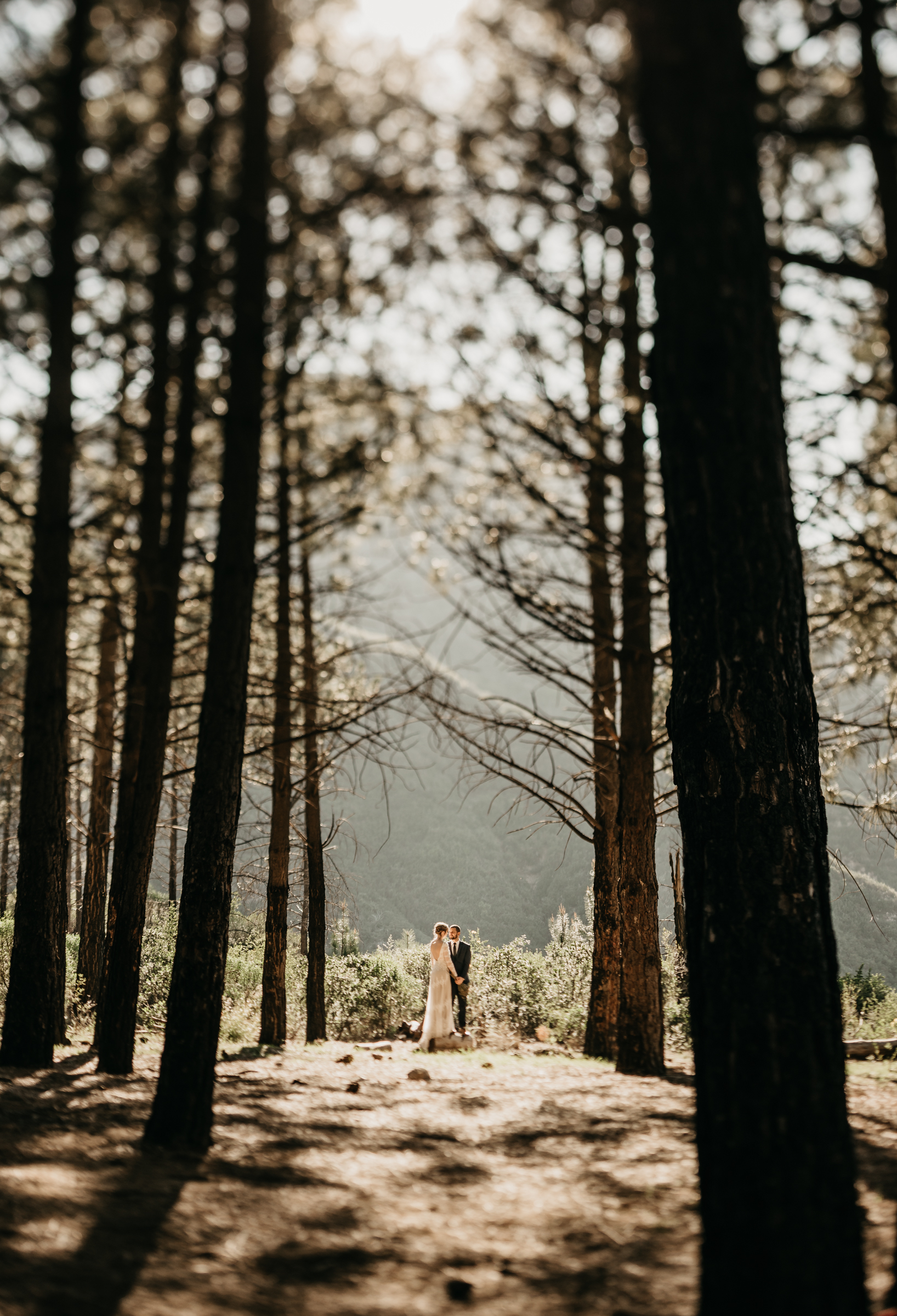 ©Isaiah + Taylor Photography - Los Angeles Wedding Photographers - Los Angeles Forest Wedding -31.jpg