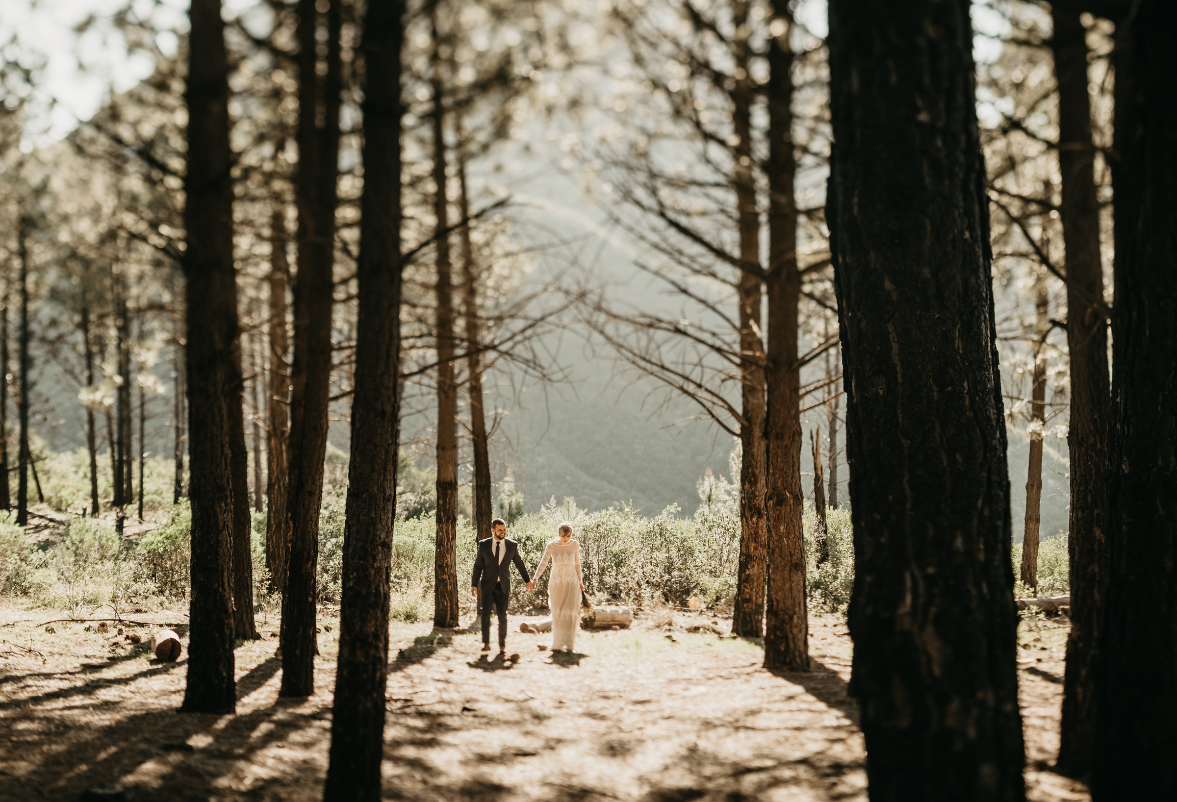 ©Isaiah + Taylor Photography - Los Angeles Wedding Photographers - Los Angeles Forest Wedding -33.jpg