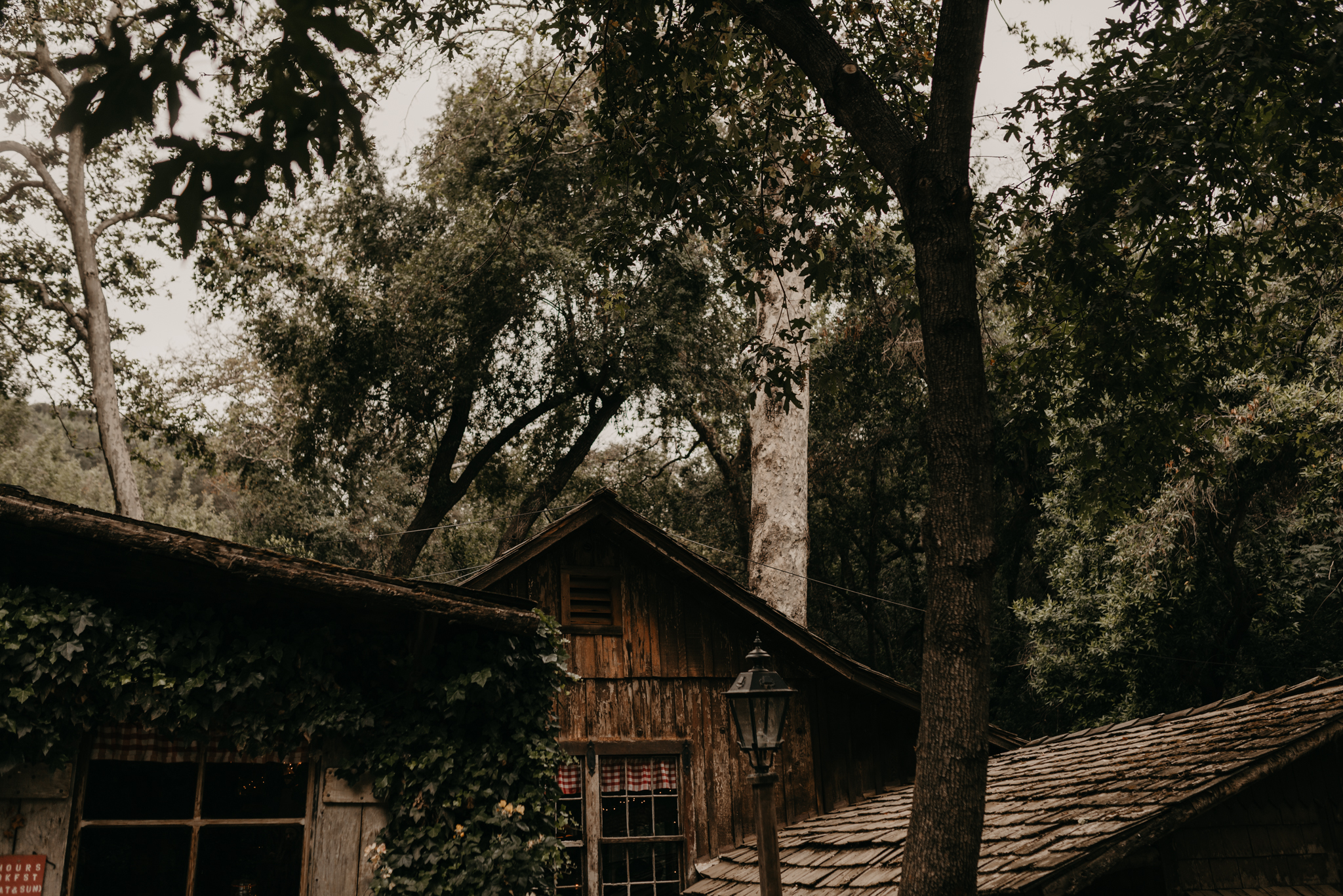 © Isaiah + Taylor Photography - Cold Spring Tavern Wedding - Santa Barbara Destination Wedding Photographer-052.jpg