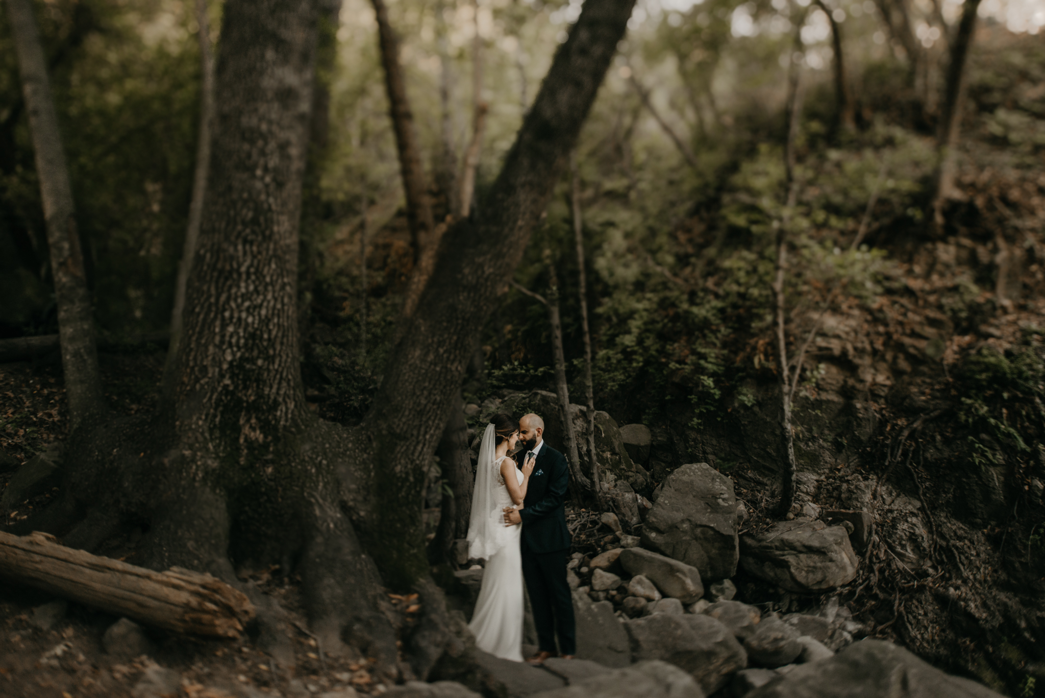 © Isaiah + Taylor Photography - Cold Spring Tavern Wedding - Santa Barbara Destination Wedding Photographer-103.jpg