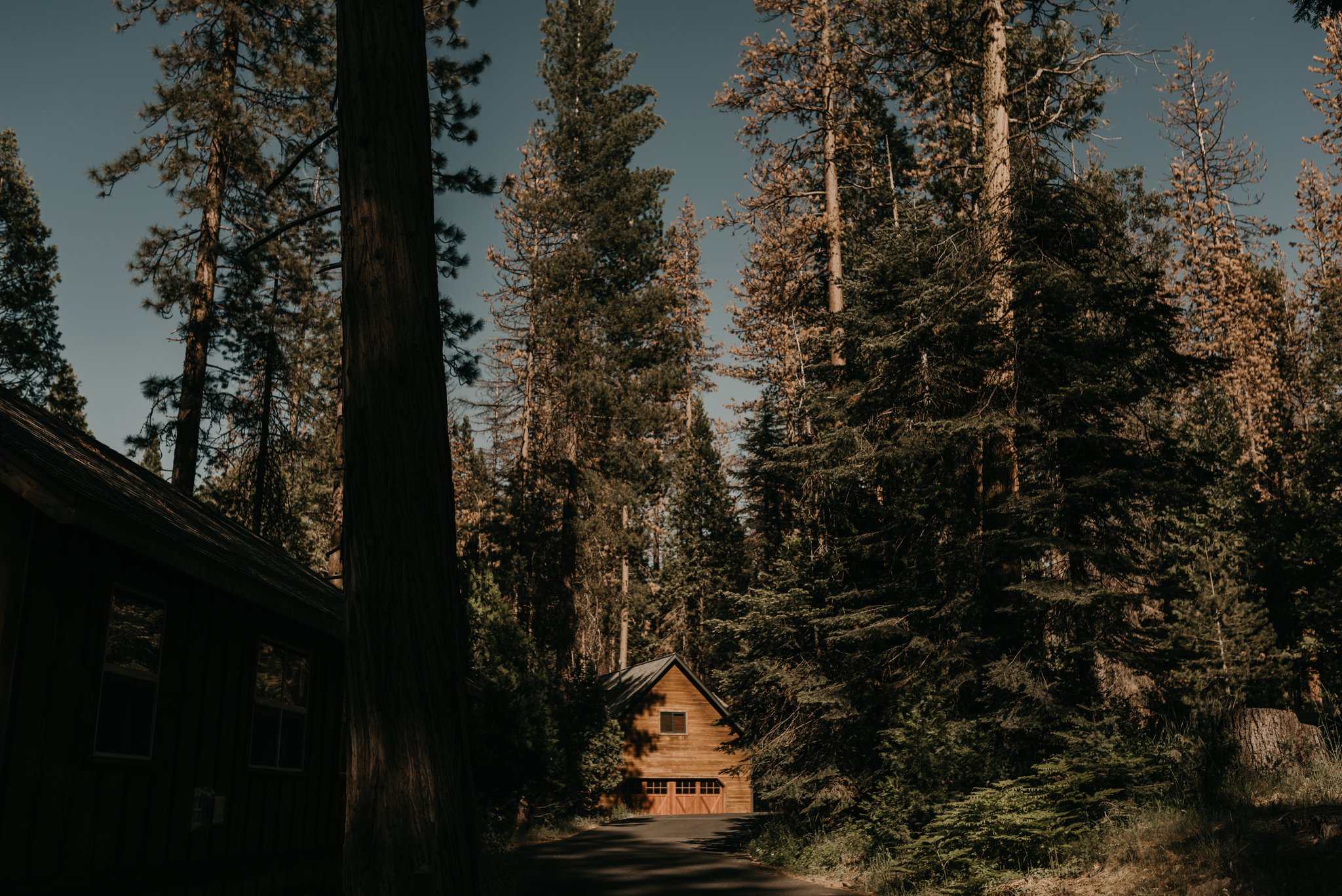 © Isaiah + Taylor Photography - Evergreen Lodge Destination Yoesmite Wedding - Los Angeles Wedding Photographer-003.jpg