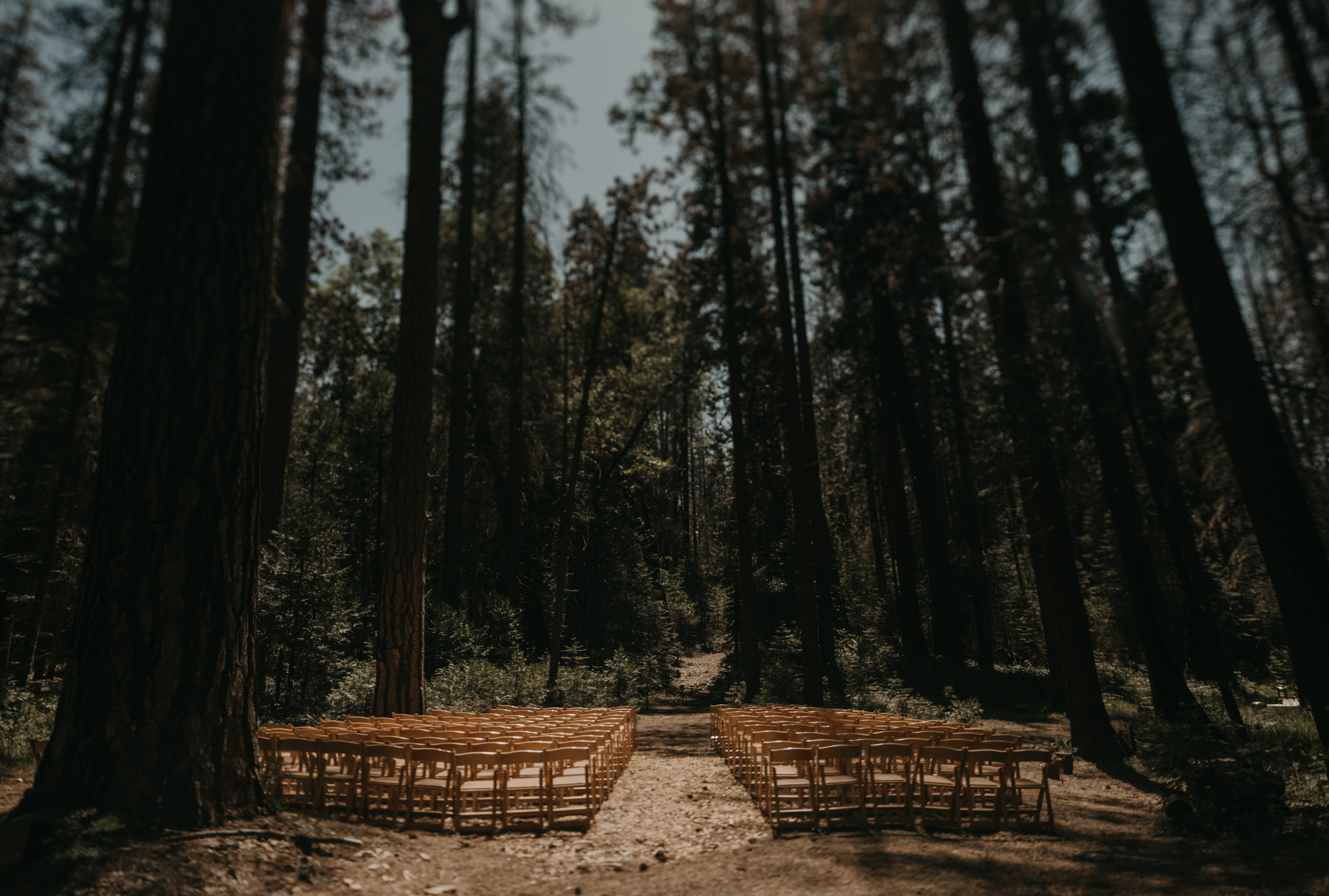 © Isaiah + Taylor Photography - Evergreen Lodge Destination Yoesmite Wedding - Los Angeles Wedding Photographer-101.jpg