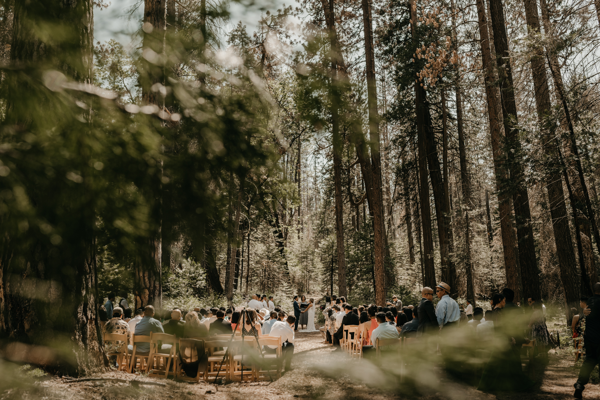 © Isaiah + Taylor Photography - Evergreen Lodge Destination Yoesmite Wedding - Los Angeles Wedding Photographer-117.jpg