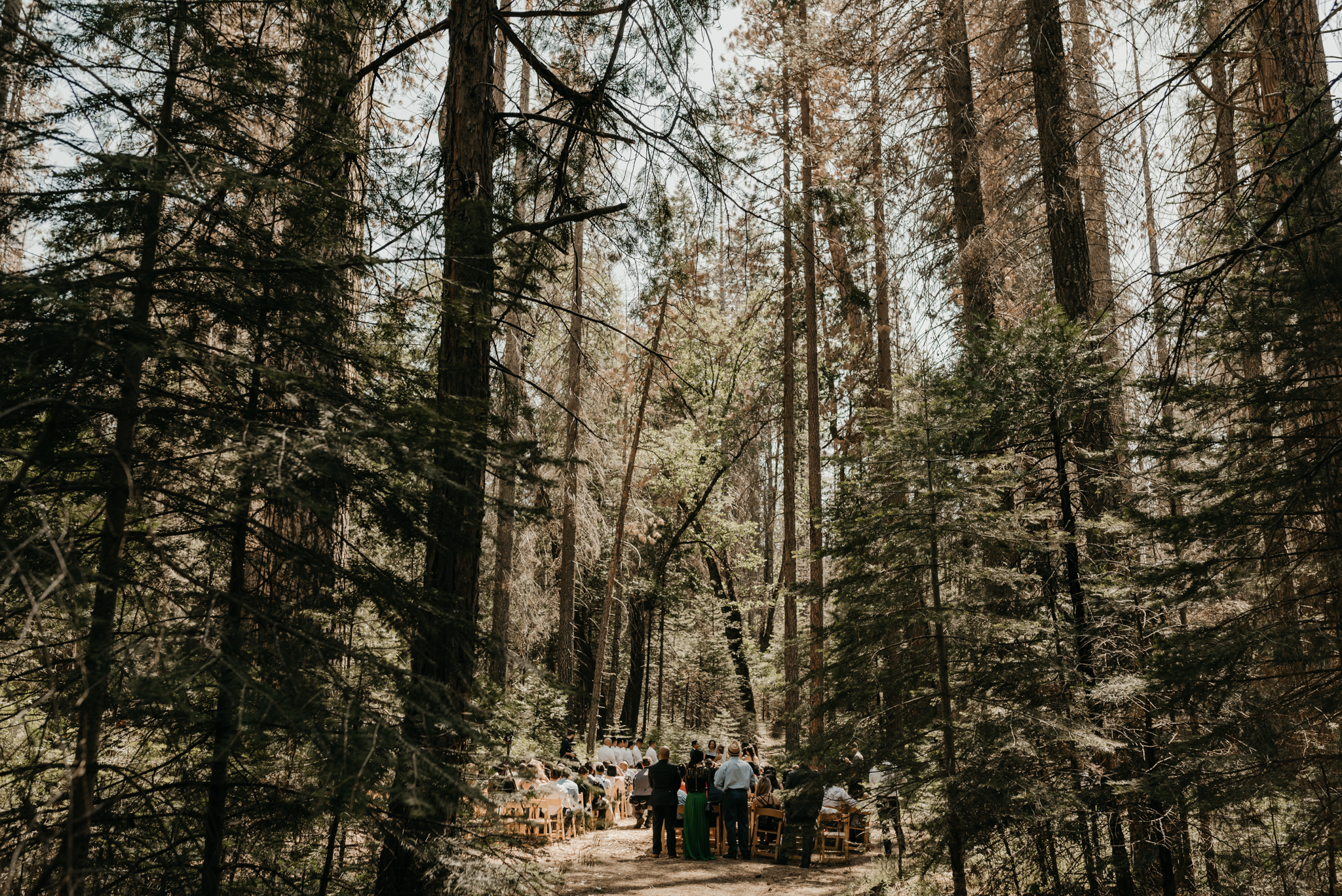 © Isaiah + Taylor Photography - Evergreen Lodge Destination Yoesmite Wedding - Los Angeles Wedding Photographer-116.jpg