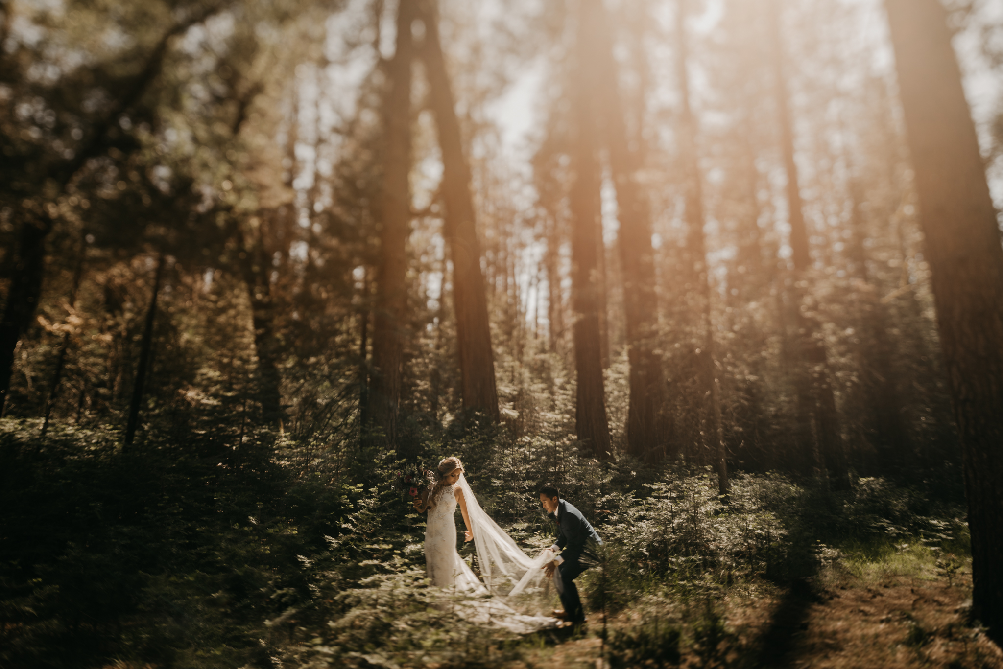 © Isaiah + Taylor Photography - Evergreen Lodge Destination Yoesmite Wedding - Los Angeles Wedding Photographer-129.jpg