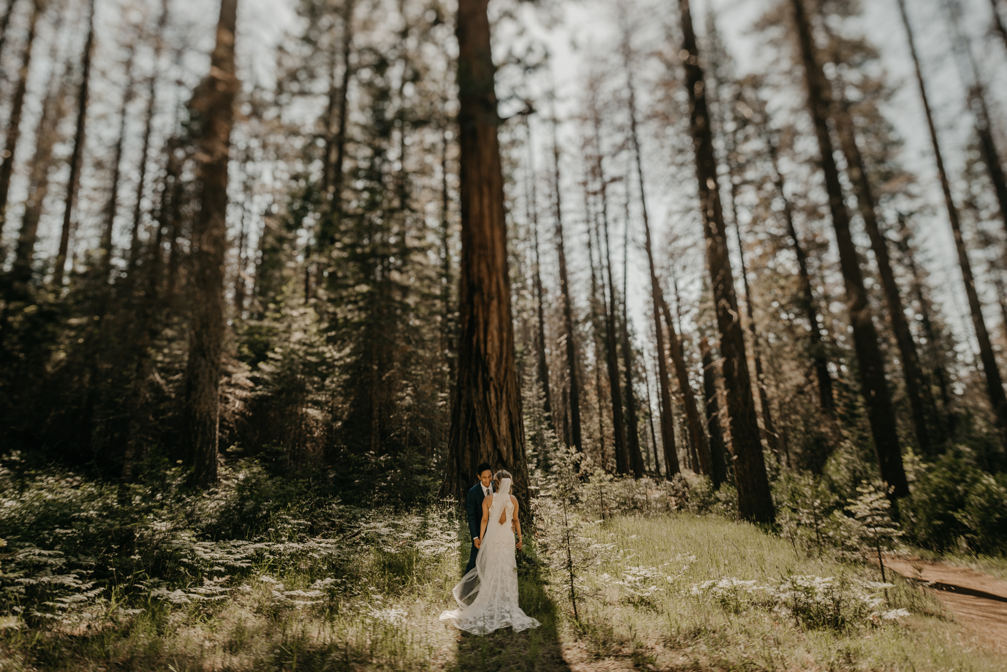 © Isaiah + Taylor Photography - Evergreen Lodge Destination Yoesmite Wedding - Los Angeles Wedding Photographer-138.jpg
