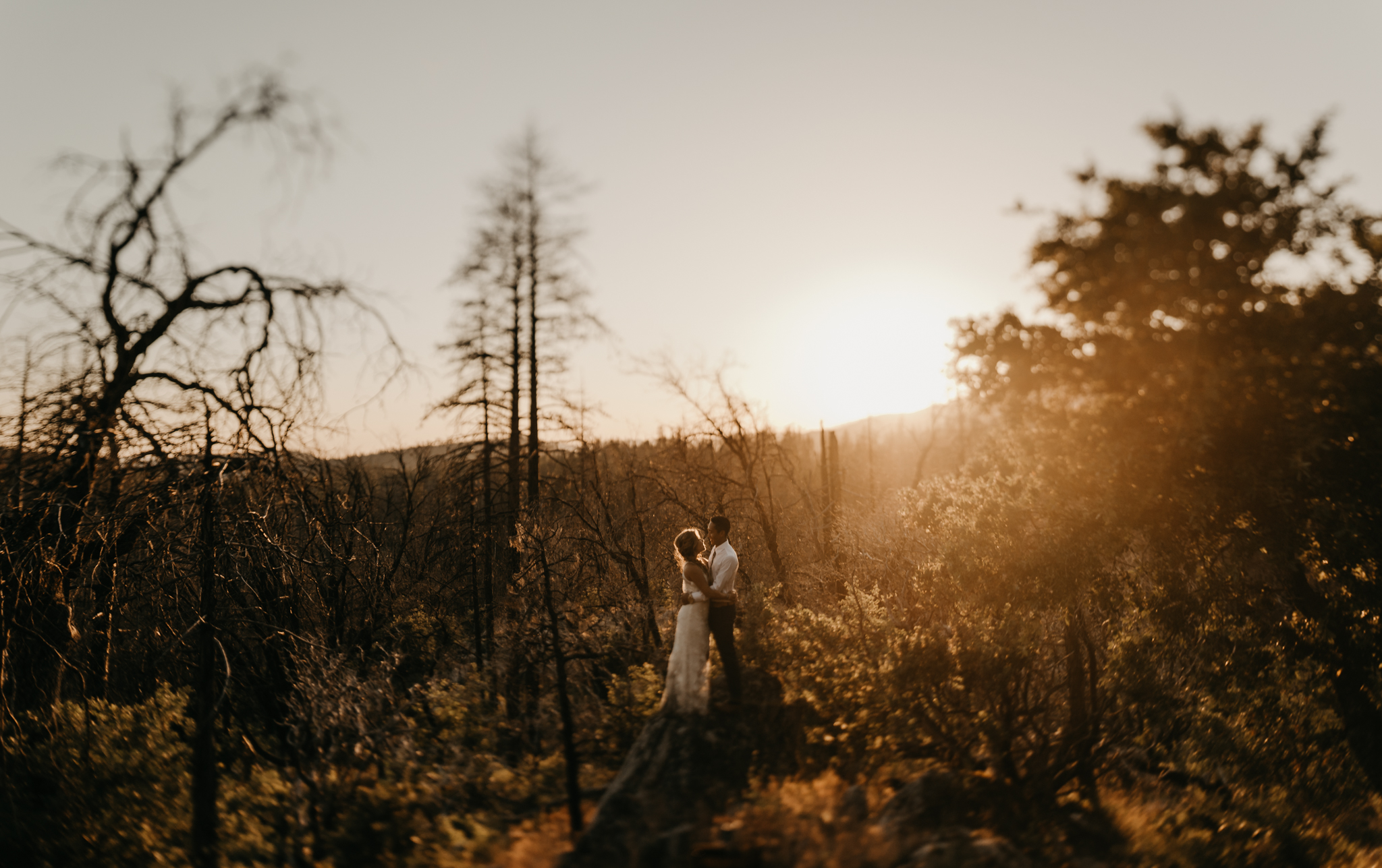 © Isaiah + Taylor Photography - Evergreen Lodge Destination Yoesmite Wedding - Los Angeles Wedding Photographer-215.jpg