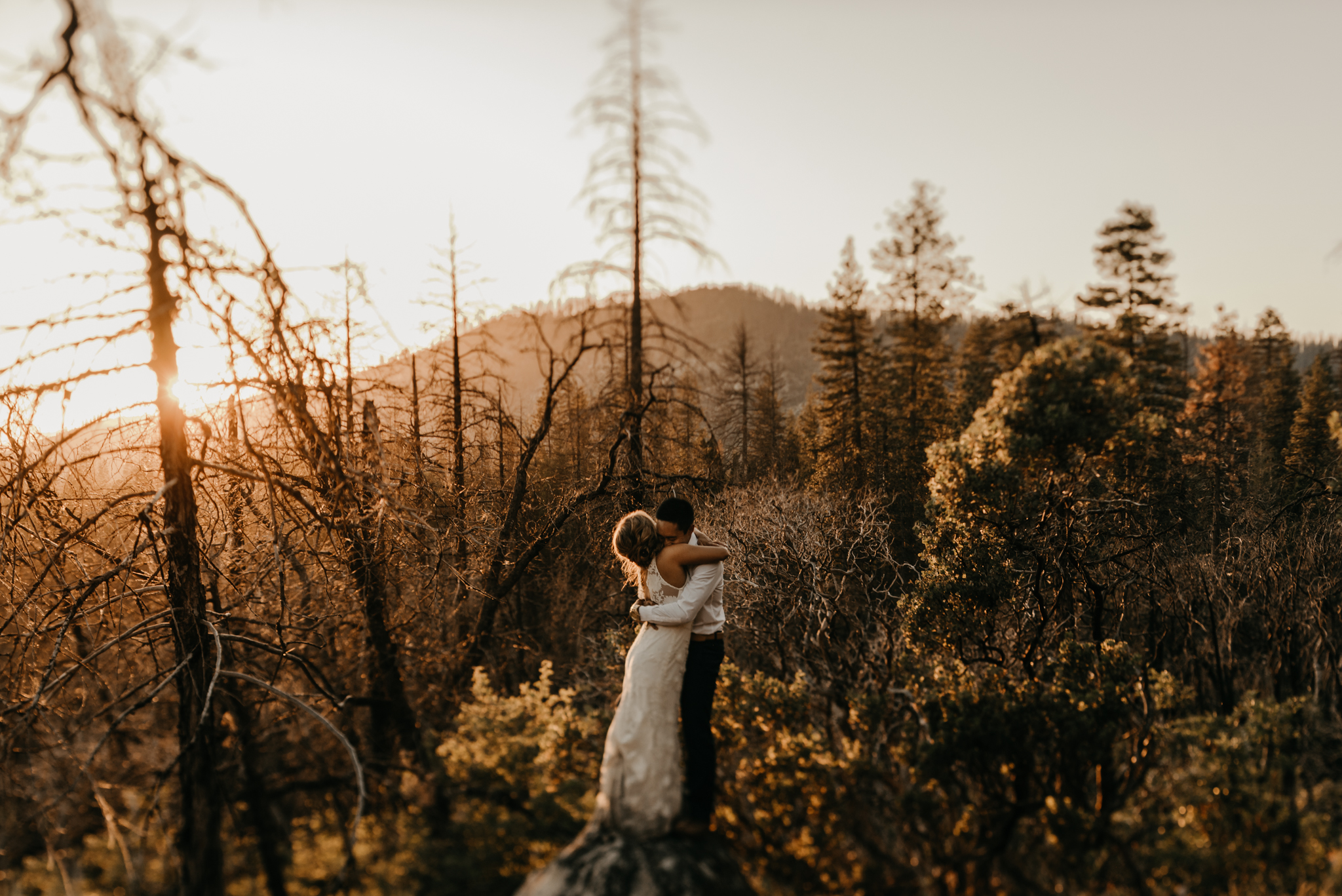 © Isaiah + Taylor Photography - Evergreen Lodge Destination Yoesmite Wedding - Los Angeles Wedding Photographer-219.jpg