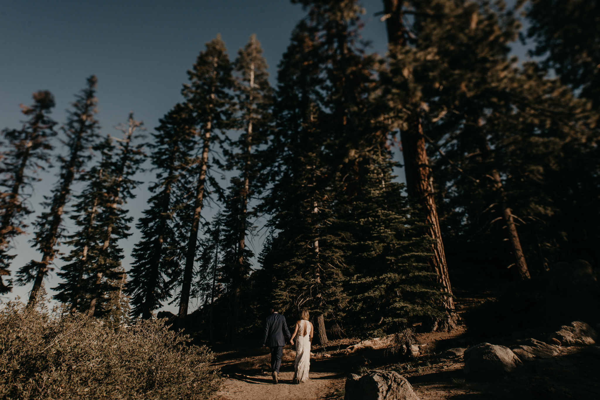 © Isaiah + Taylor Photography - Yosemite Nationanl Park Elopement Photographer - Evergreen Lodge Wedding-003.jpg