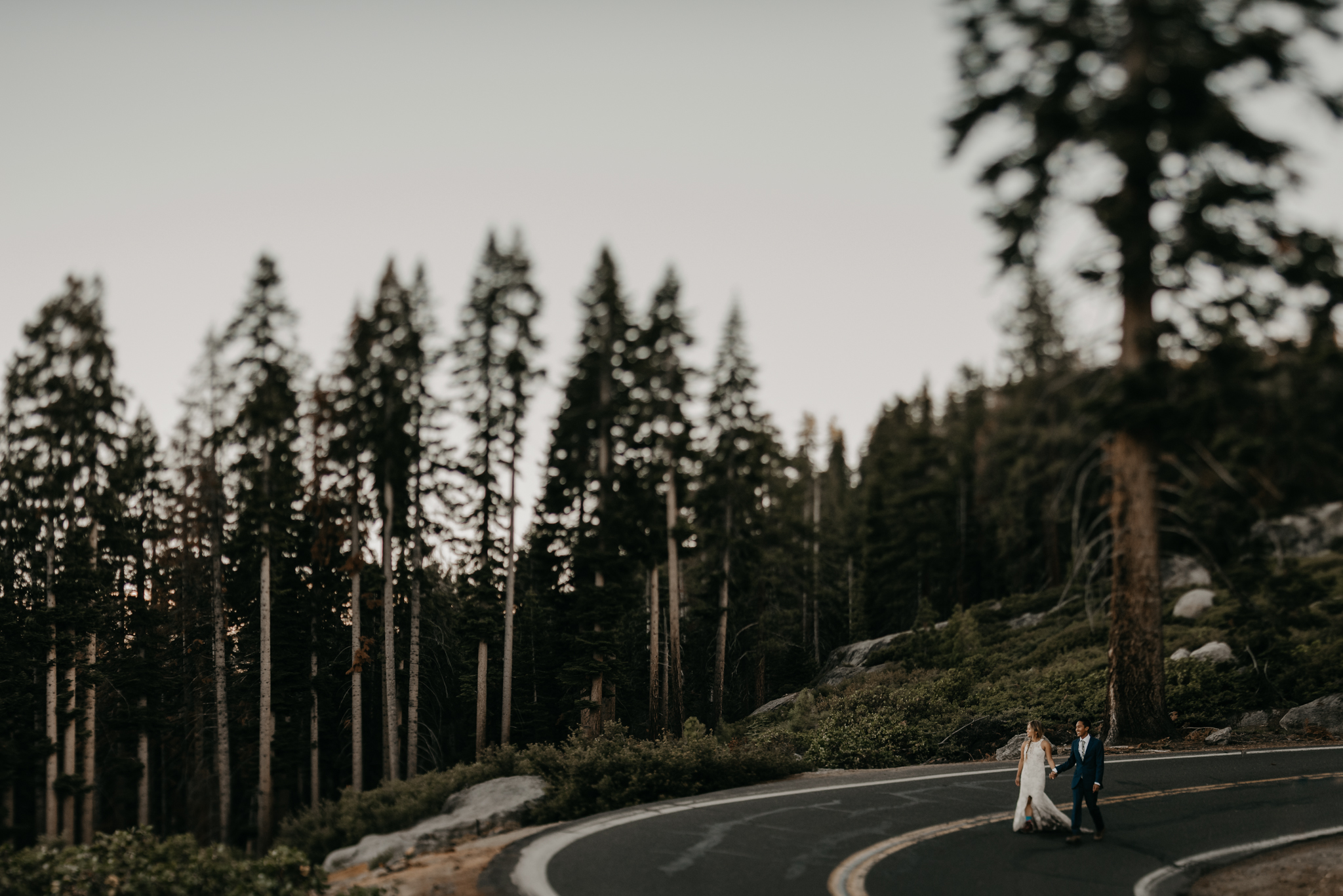 © Isaiah + Taylor Photography - Yosemite Nationanl Park Elopement Photographer - Evergreen Lodge Wedding-043.jpg