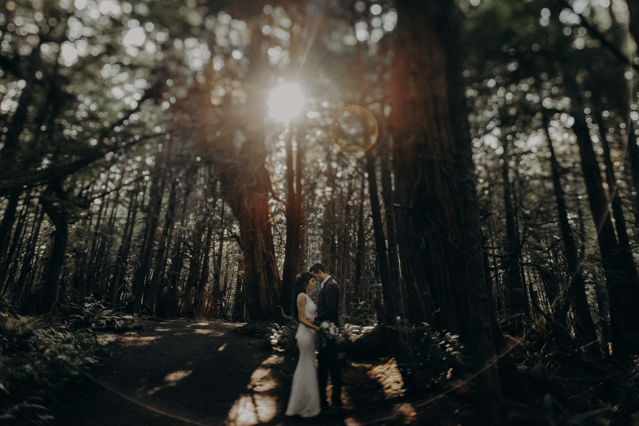 Isaiah + Taylor Photography - Cape Flattery Elopement, Olympia National Forest Wedding Photographer-023.jpg