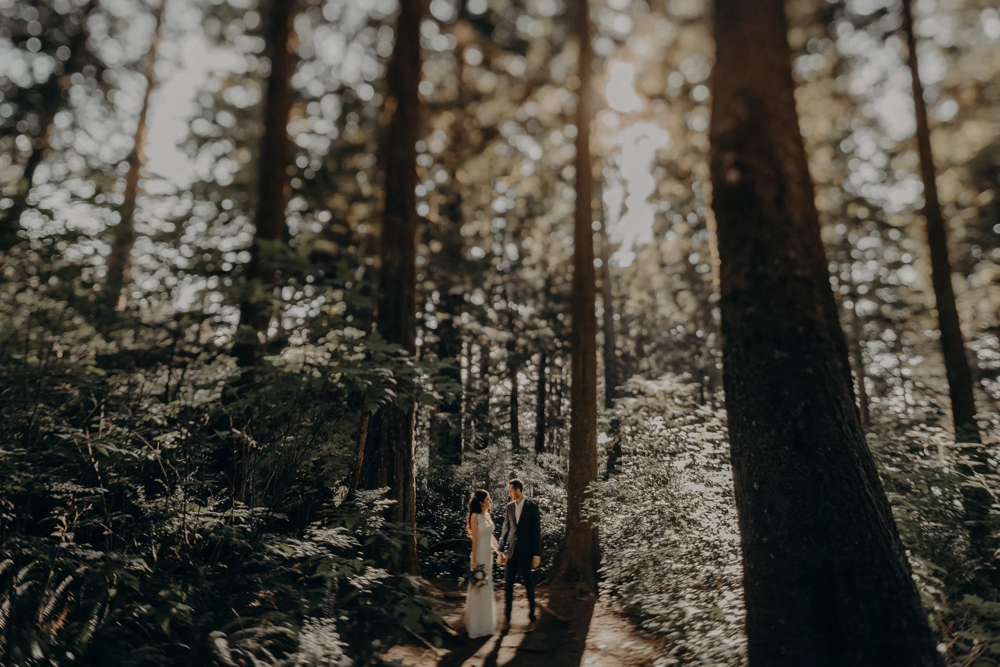Isaiah + Taylor Photography - Cape Flattery Elopement, Olympia National Forest Wedding Photographer-026.jpg