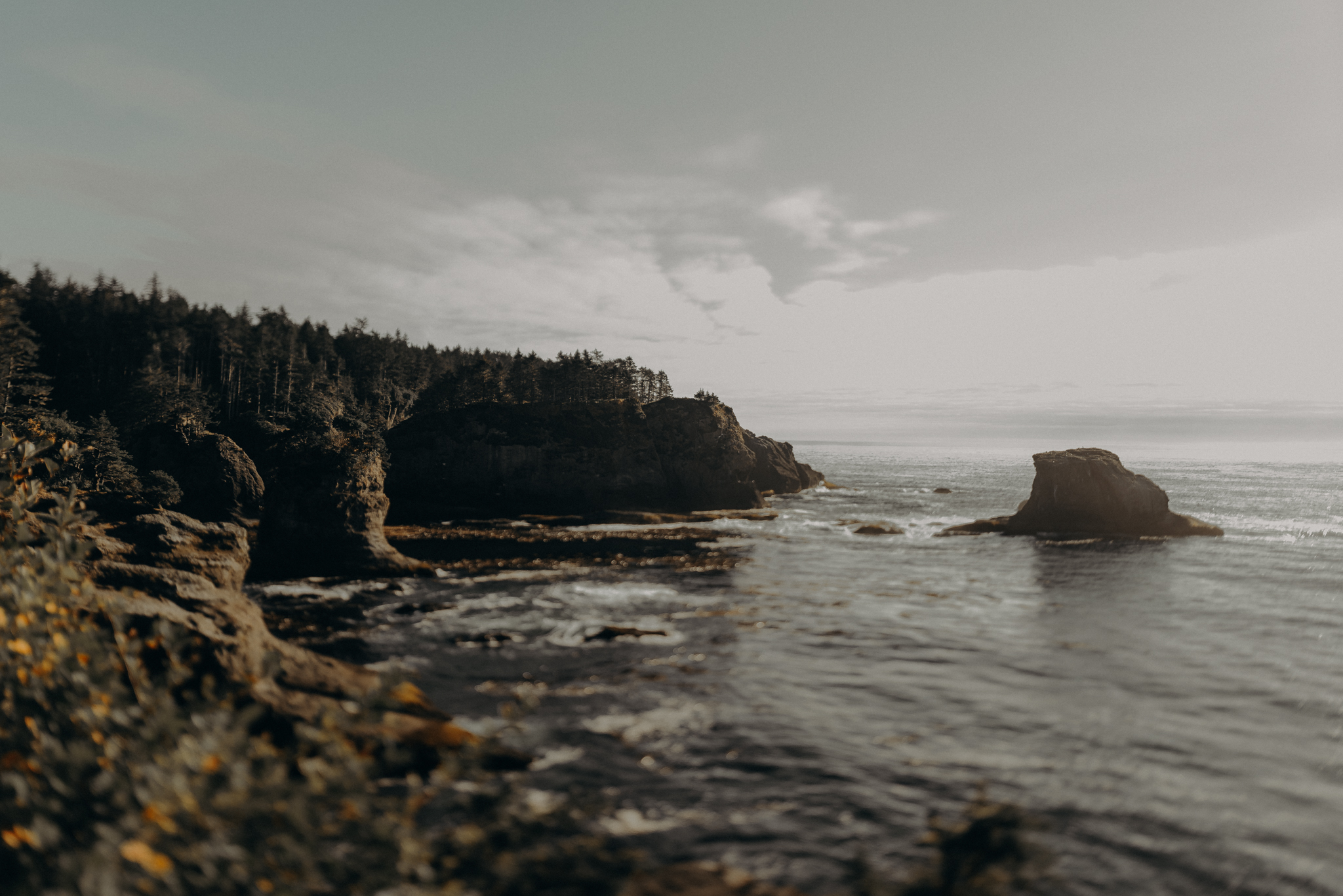 Isaiah + Taylor Photography - Cape Flattery Elopement, Olympia National Forest Wedding Photographer-038.jpg