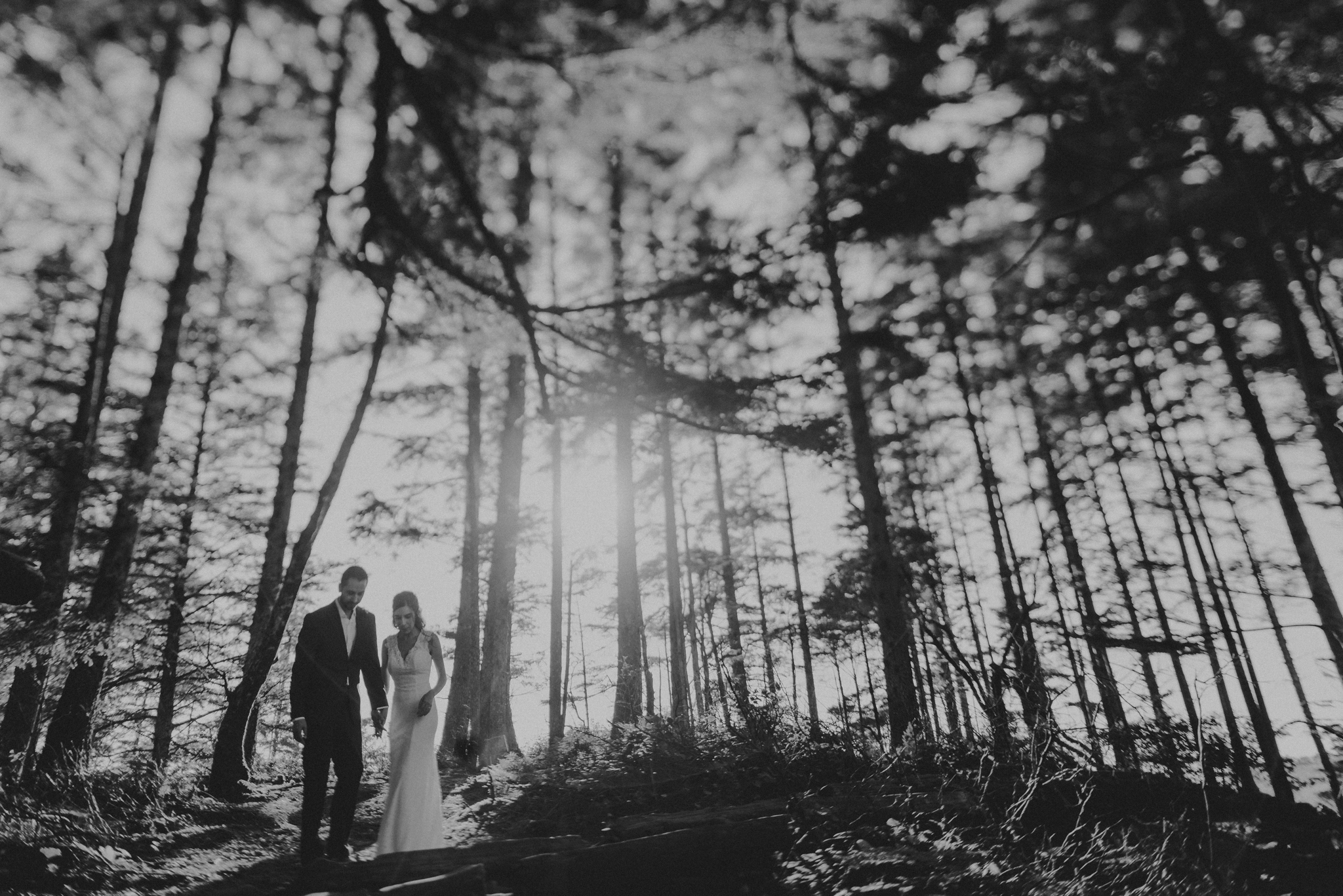 Isaiah + Taylor Photography - Cape Flattery Elopement, Olympia National Forest Wedding Photographer-087.jpg