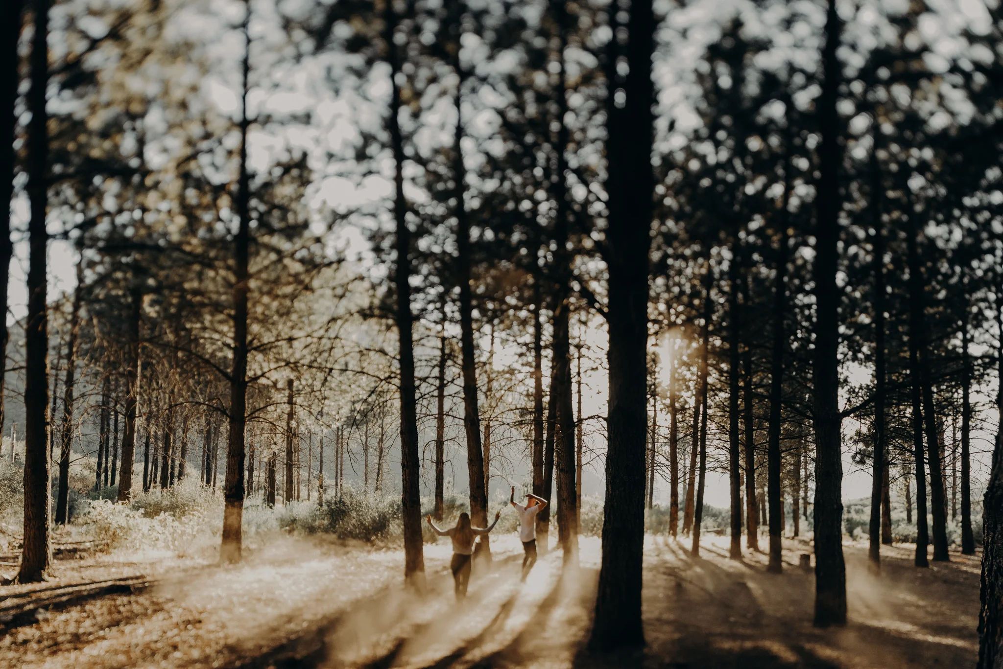 Isaiah + Taylor Photography - Los Angeles Forest Engagement, Laid-back Wedding Photographer-074.jpg