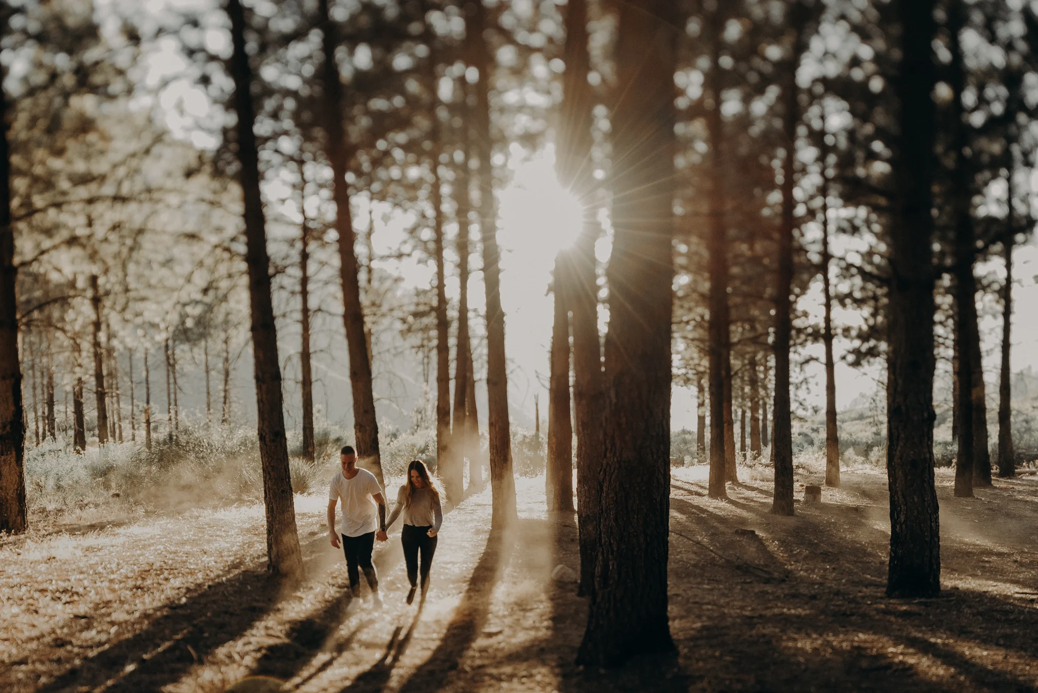 Isaiah + Taylor Photography - Los Angeles Forest Engagement, Laid-back Wedding Photographer-078.jpg