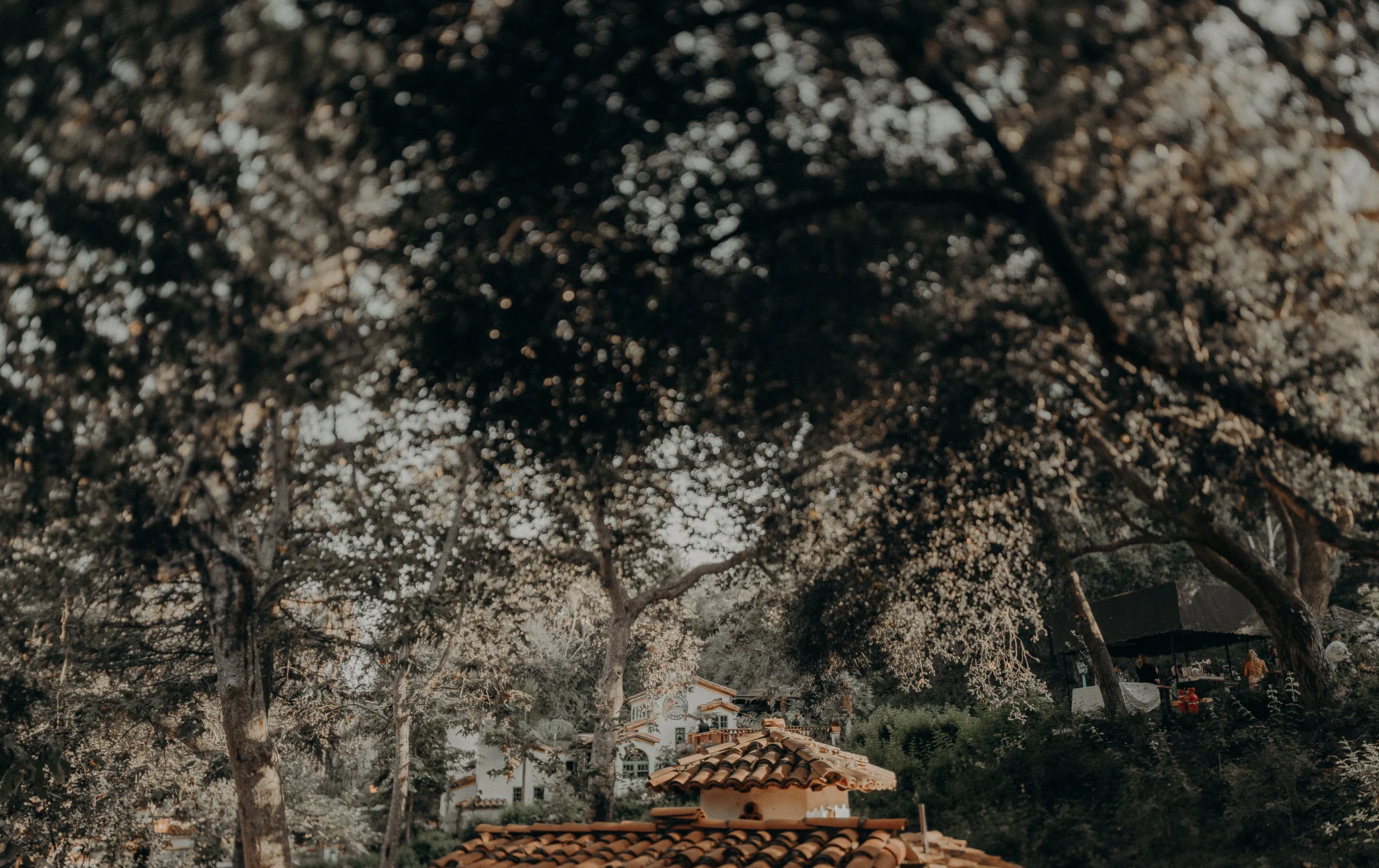 Isaiah + Taylor Photography - Rancho Las Lomas Wedding, Los Angeles Wedding Photographer-138.jpg