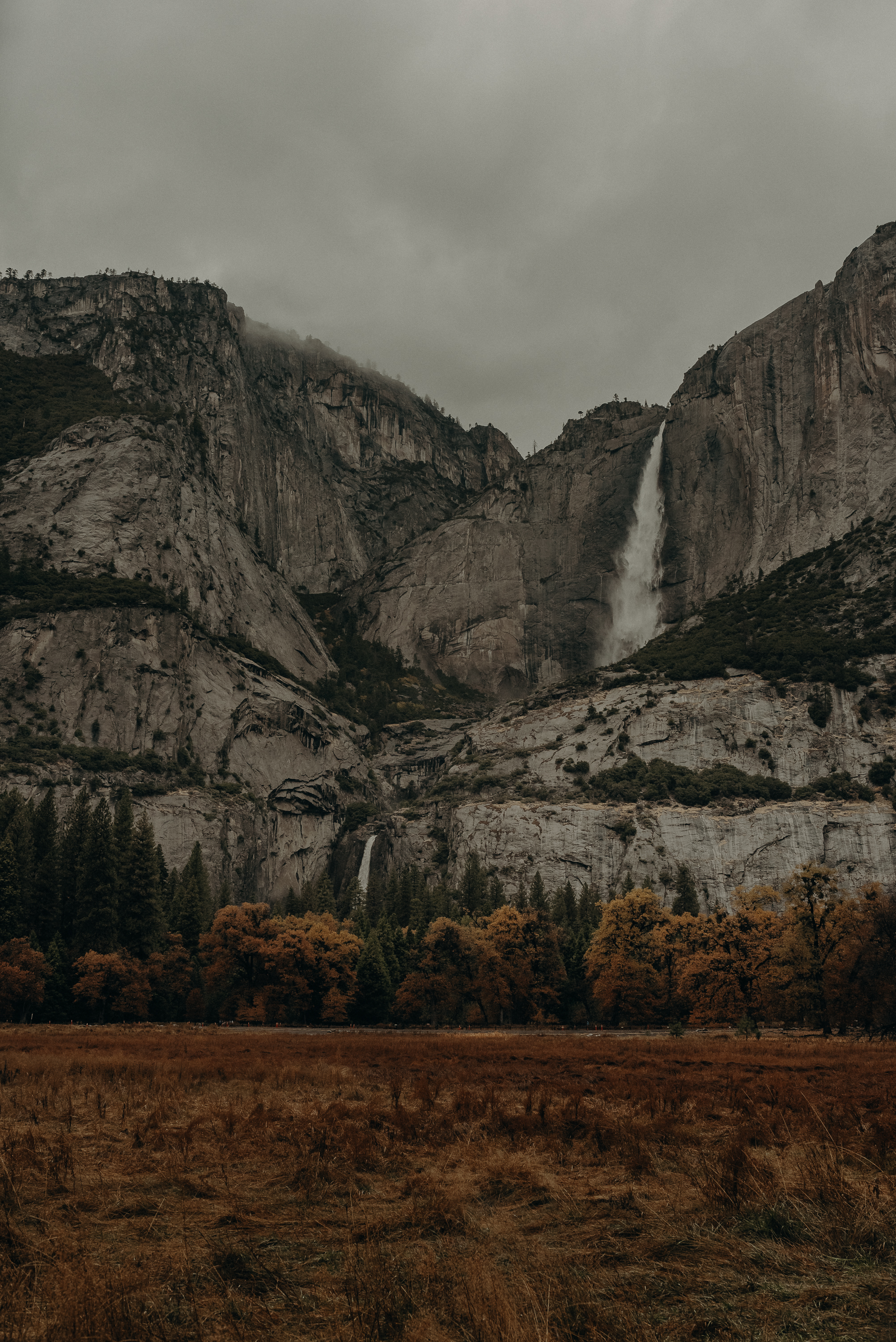 Isaiah + Taylor Photography - Yosemite Elopement - Los Angeles Wedding Photographer-1.jpg