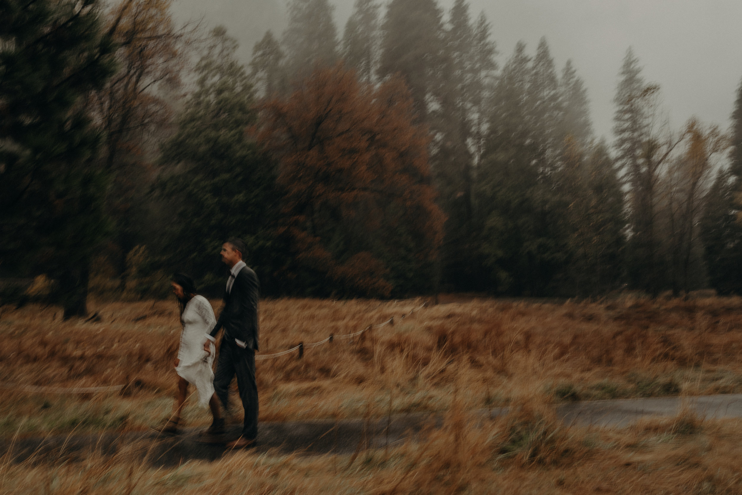 Isaiah + Taylor Photography - Yosemite Elopement - Los Angeles Wedding Photographer-82.jpg