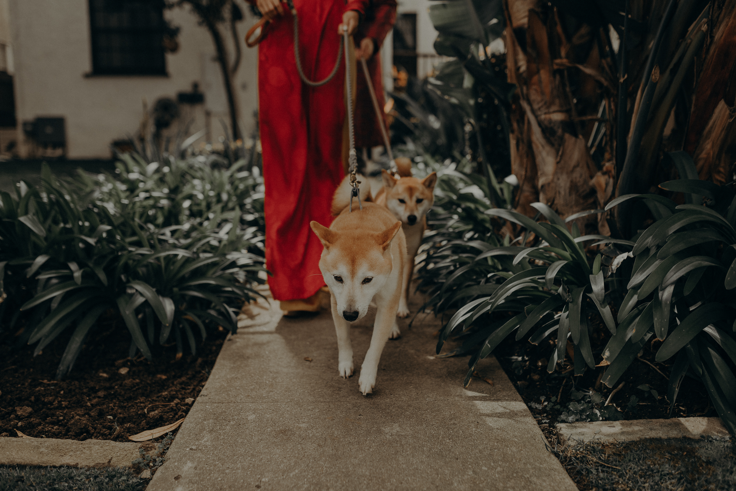 Los Angeles Wedding Photographer - IsaiahAndTaylor.com - The Ebell of Long Beach Wedding - Traditional Vietnamese tea ceremony-074.jpg