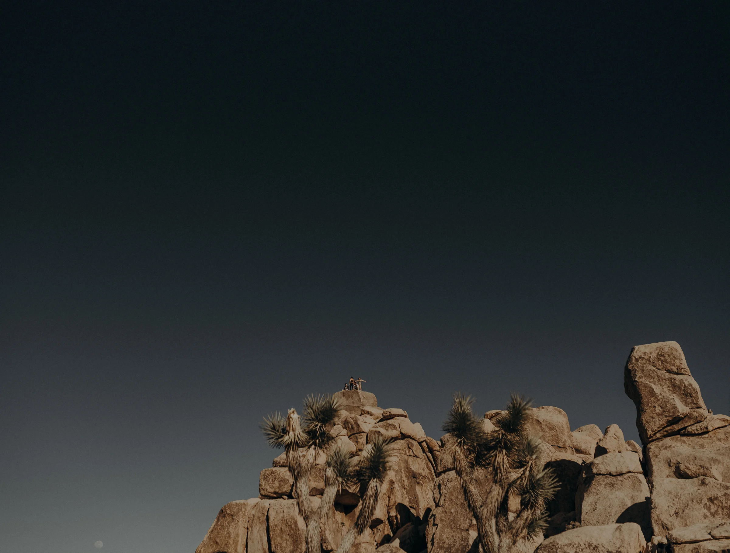 Joshua Tree Elopement - Los Angeles Wedding Photographers - IsaiahAndTaylor.com-002.jpg