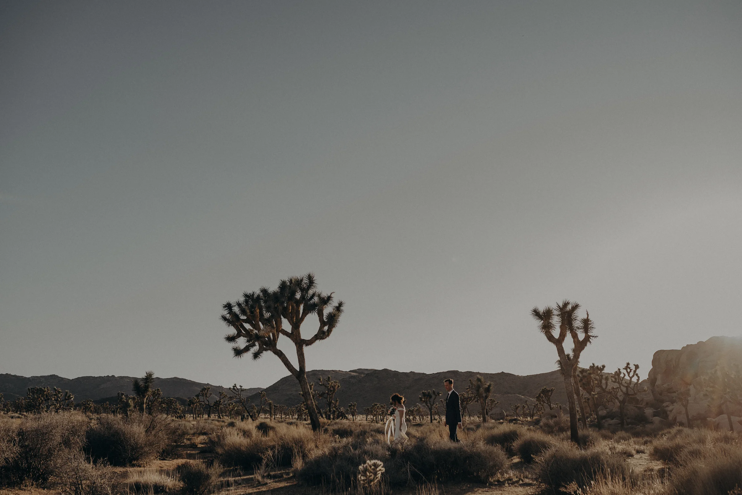 Joshua Tree Elopement - Los Angeles Wedding Photographers - IsaiahAndTaylor.com-081.jpg