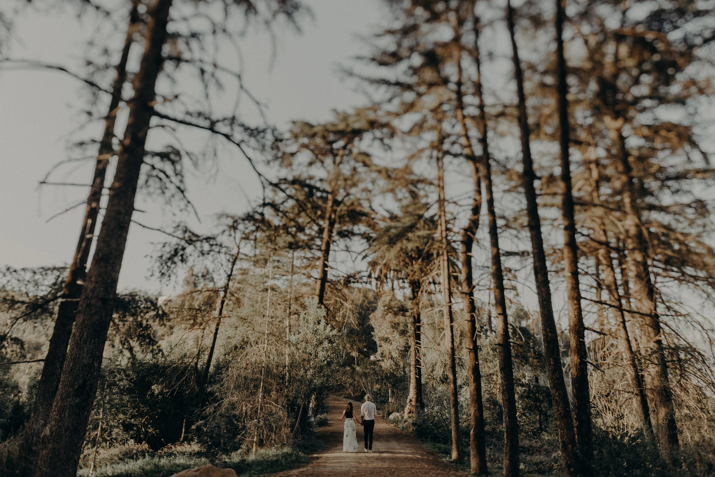 Los Angeles Wedding Photographers - Griffith Park Engagement - IsaiahAndTaylor.com-028.jpg