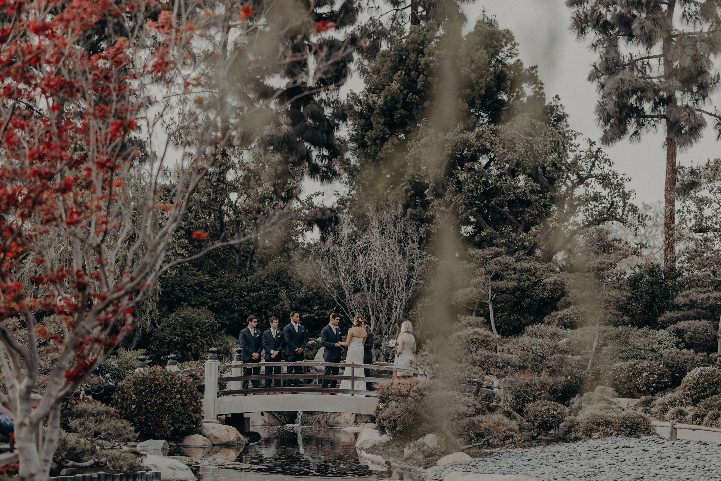 Long Beach Wedding Photographers - Japanese Botanical Garden - Earl Burns Miller - Cal State Long Beach - IsaiahAndTaylor.com-060.jpg