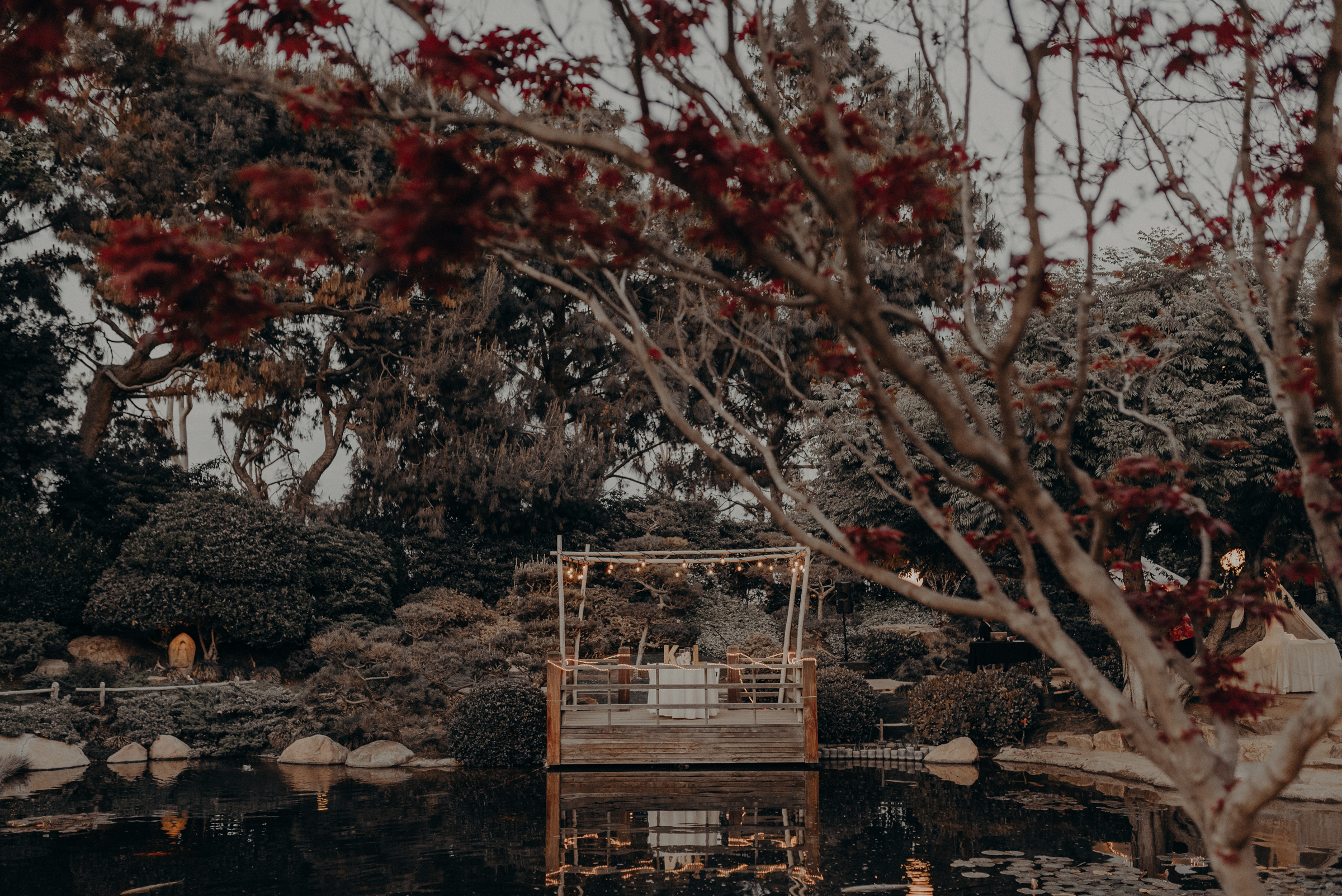 Long Beach Wedding Photographers - Japanese Botanical Garden - Earl Burns Miller - Cal State Long Beach - IsaiahAndTaylor.com-076.jpg