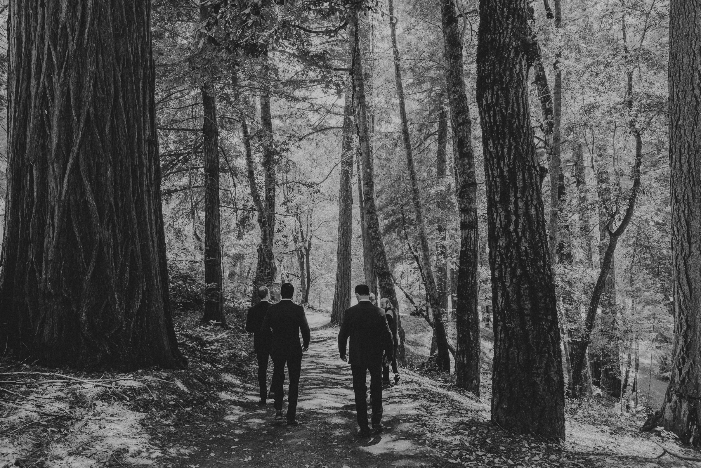 IsaiahAndTaylor.com - California Destination Elopement, Lake Leonard Reserve Wedding, Ukiah-038.jpg