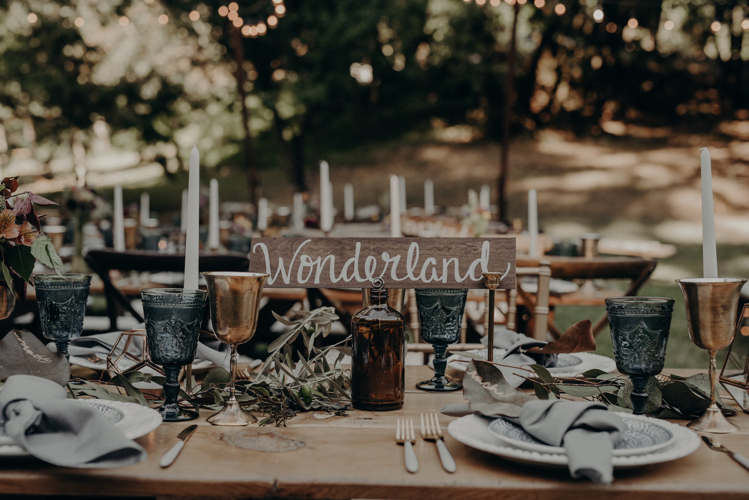 IsaiahAndTaylor.com - California Destination Elopement, Lake Leonard Reserve Wedding, Ukiah-165.jpg