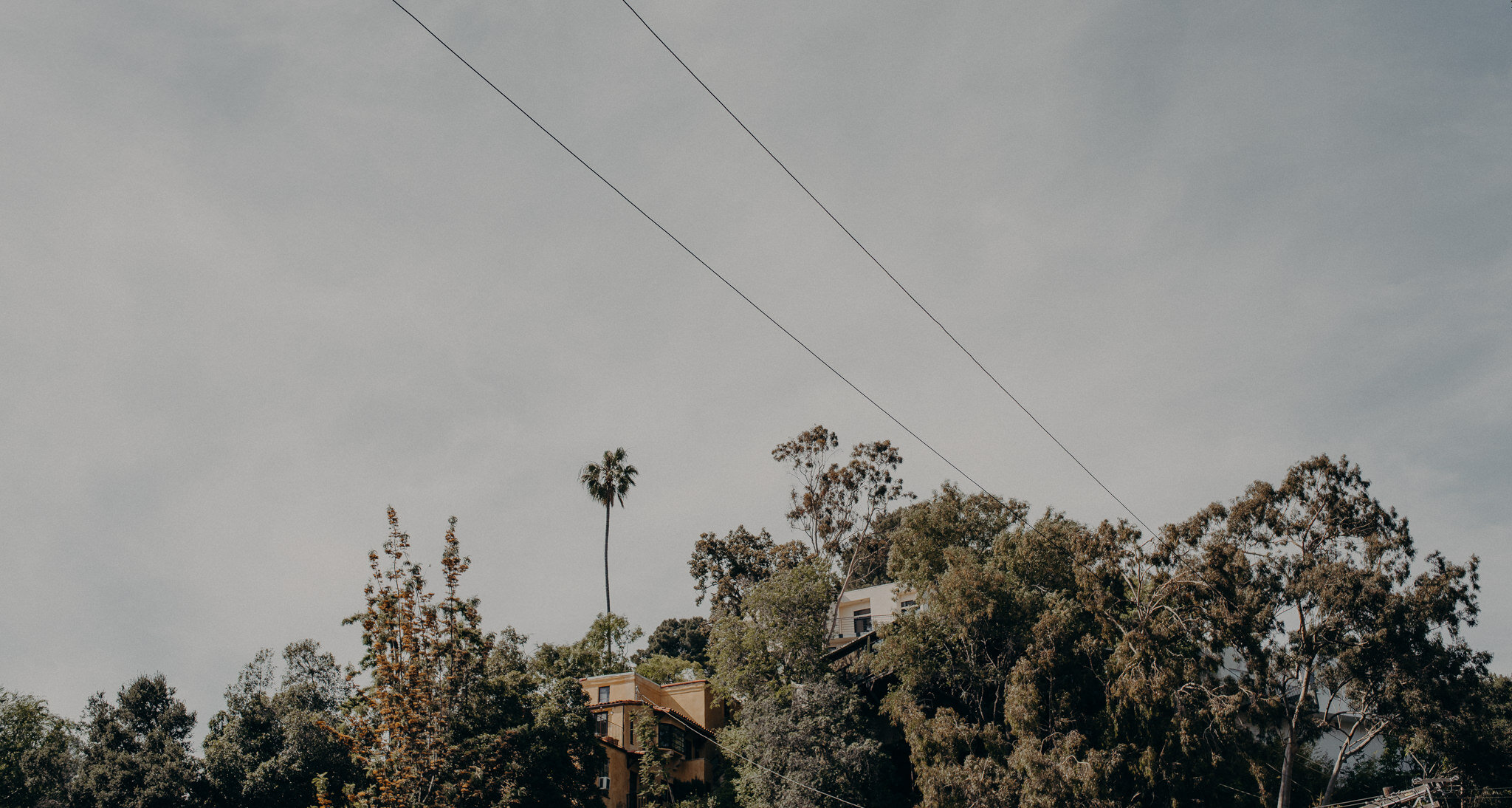 at-home backyard covid elopement - los angeles wedding photographer - isaiahandtaylor.com-001.jpg