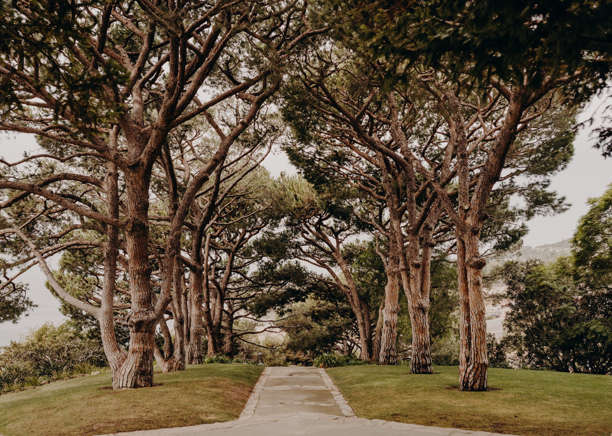 wayfarers chapel and monarch beach resort wedding - orange county wedding photographer -48.jpg