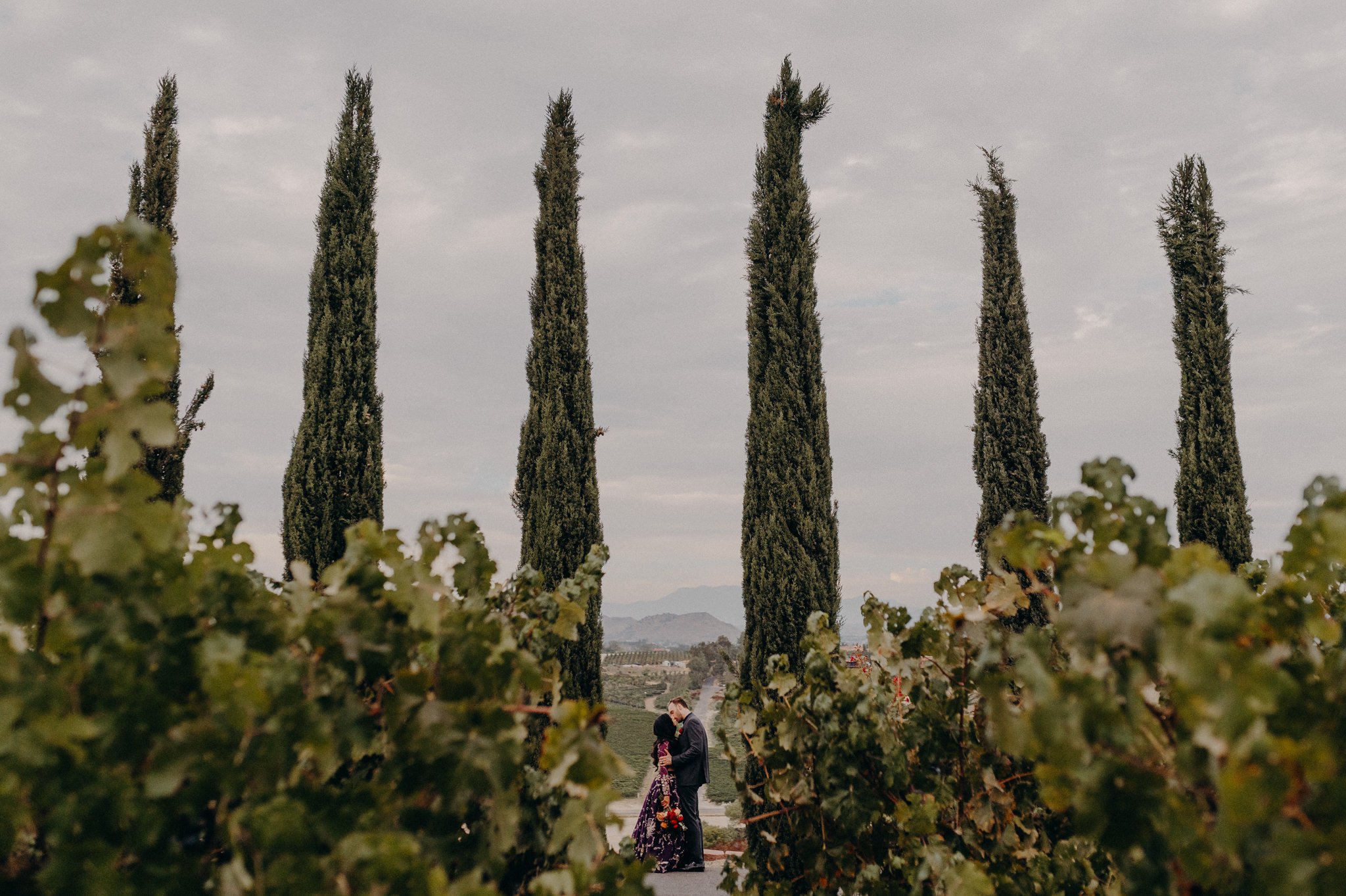 mount palomar winery wedding - queer lgbtq wedding photographers in los angeles - itlaphoto.com-62.jpg