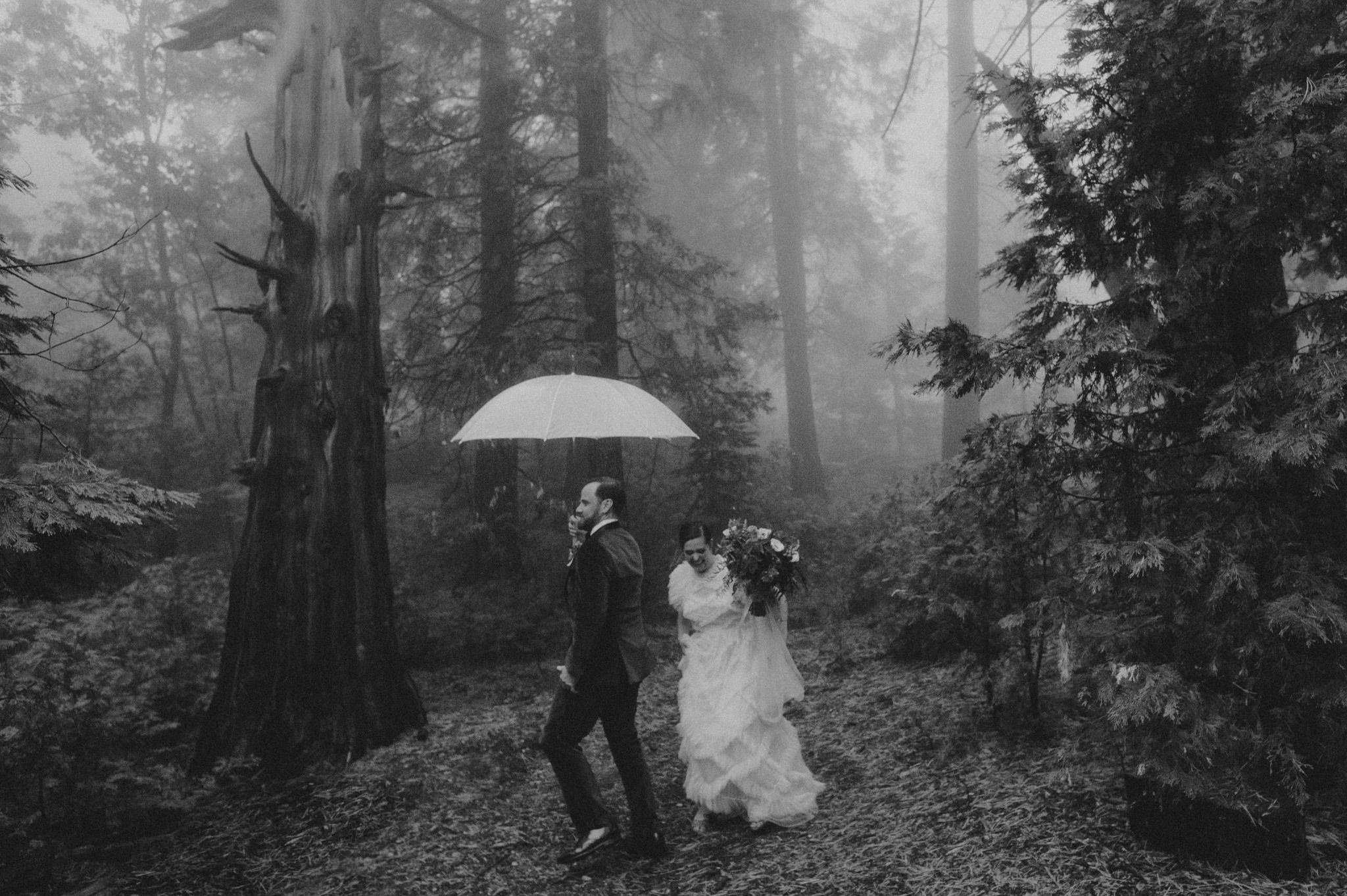 pine rose cabins lake arrowhead wedding - queer wedding photographers - itlaphoto.com-77.jpg