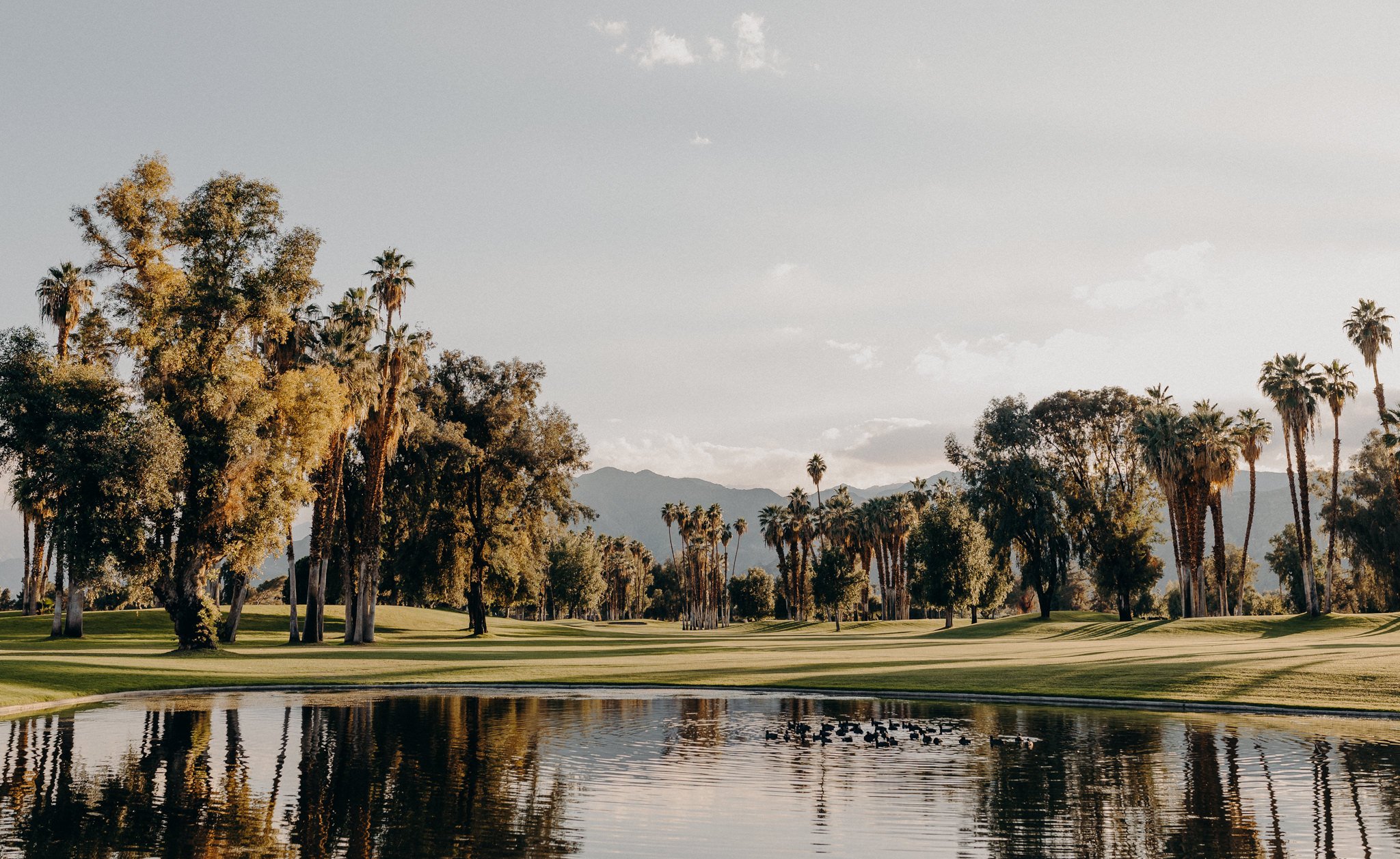 los angeles lgbtq+ wedding photographer - desert island country club wedding - itlaphoto.com-1.jpg