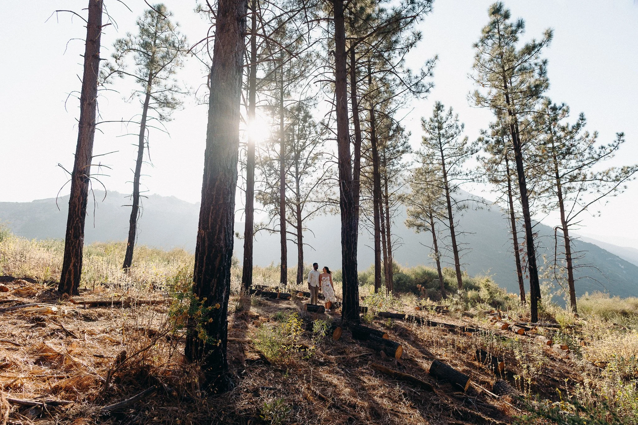 queer wedding photographers in LA - los angeles lgbtq wedding photo - forest engagement session - itlaphoto.com-2.jpg