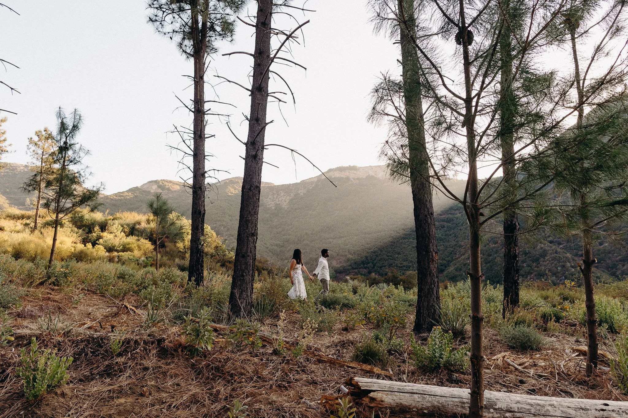 queer wedding photographers in LA - los angeles lgbtq wedding photo - forest engagement session - itlaphoto.com-17.jpg