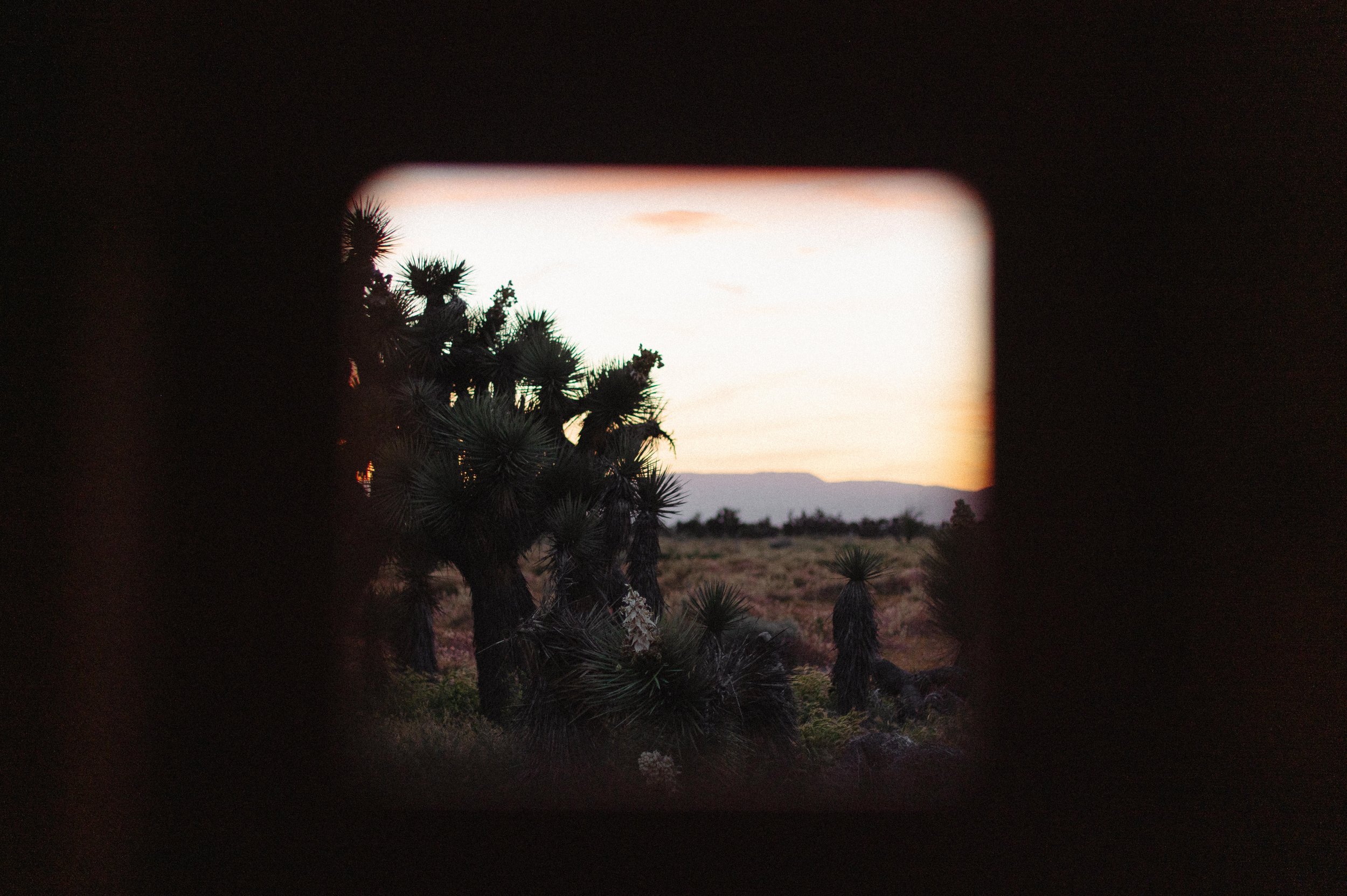 engagement photos - zack + abby - itlaphoto.com-353.jpg